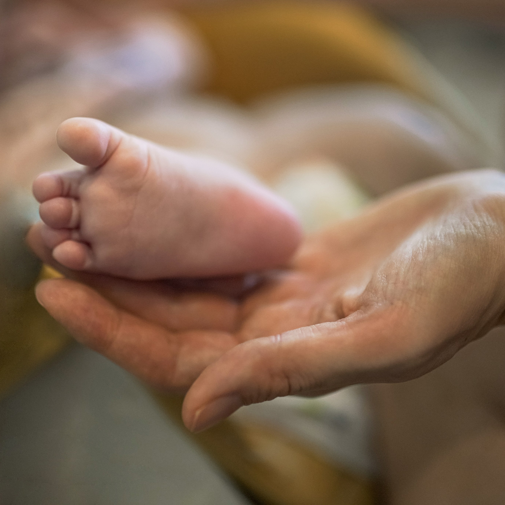 Семейный фотограф Москва Путилково Гуляшова Екатерина