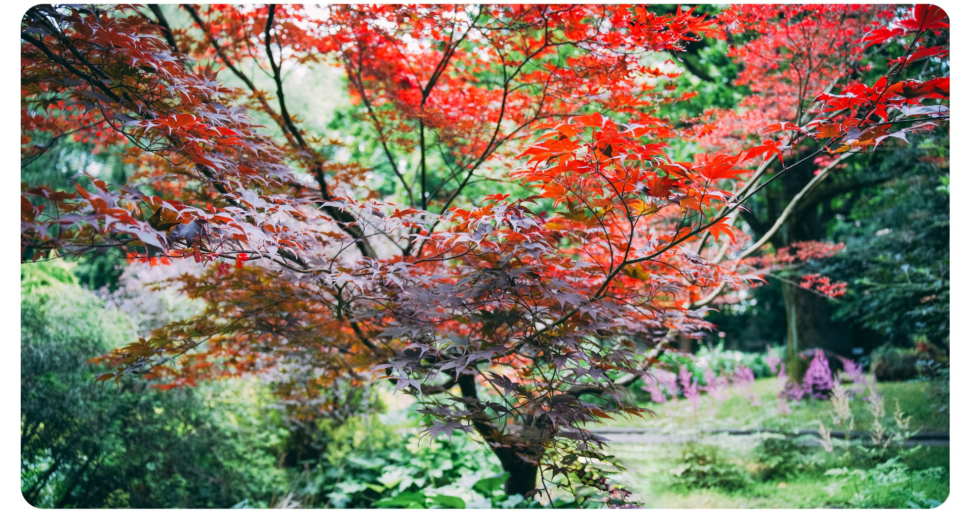 Калининград 3. Фотограф из Москвы — DASHA NOVA | Авторская фотография в разных жанрах