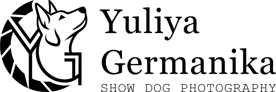 germanika.wfolio.pro