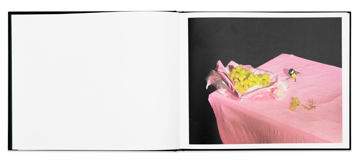 ОБЗОР АКТУАЛЬНЫХ ФОТОКНИГ: Листы I–XXXI. Самоорганизация Низина