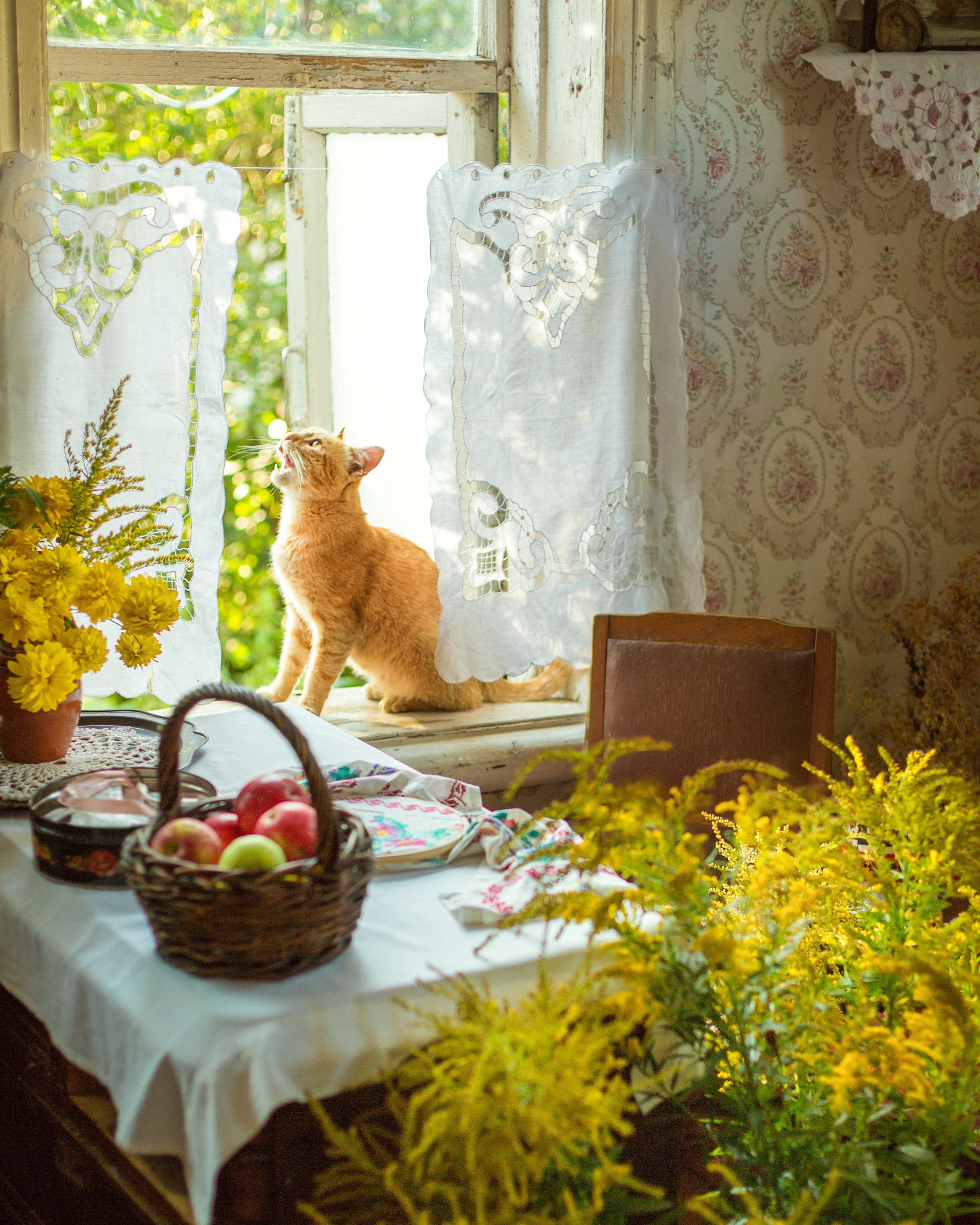 Семейная фотосессия, фотосессия в деревне, деревенский дом, чаепитие. Профессиональный фотограф, фотохудожник, видеограф из Москвы