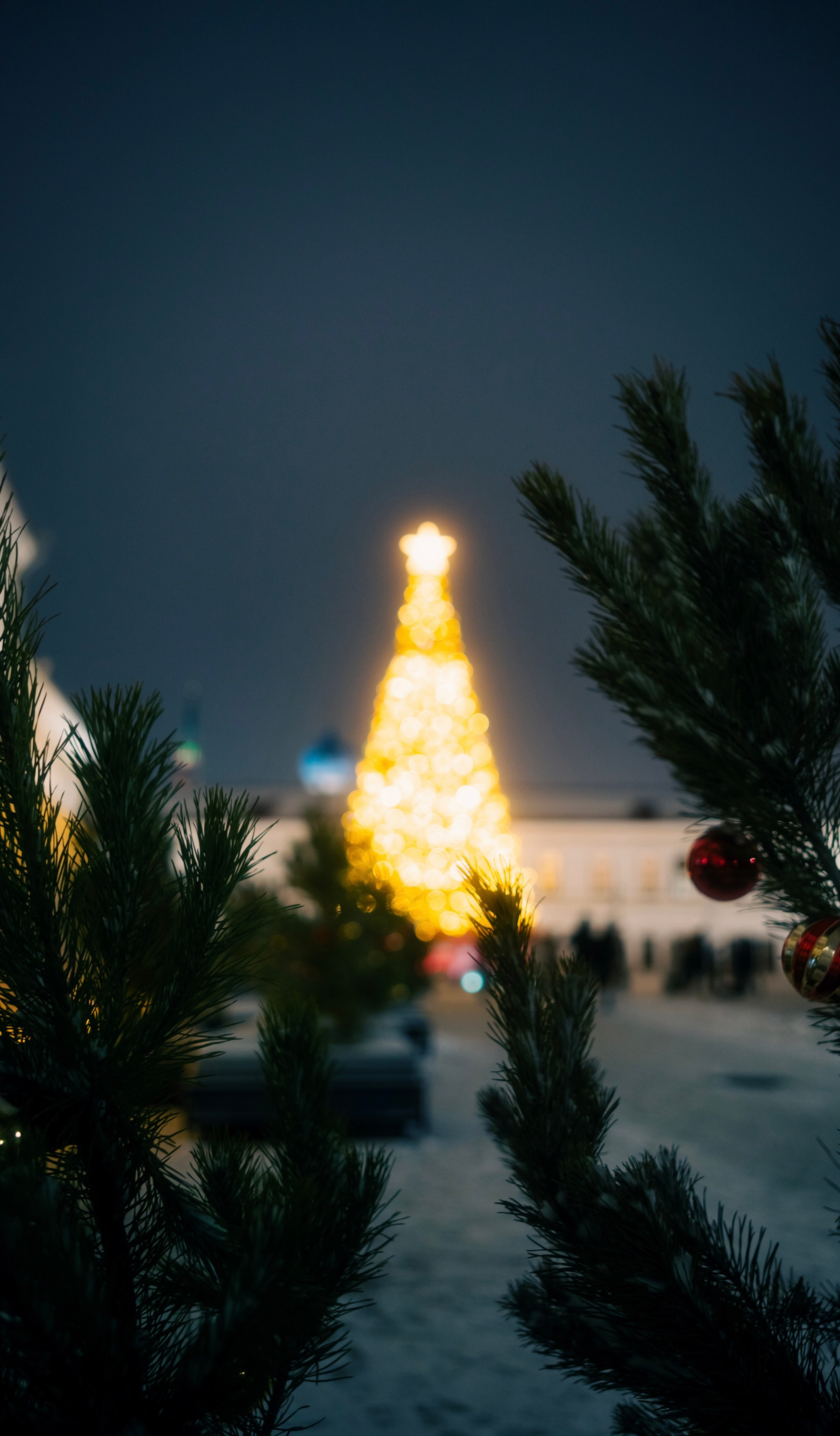 The Bokeh of the Christmas Tree. Felixtones