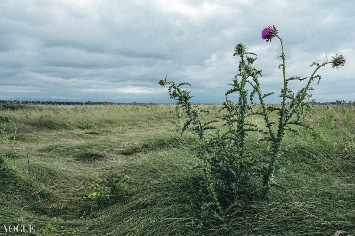 Публикации. Никонёнок Анна фотограф