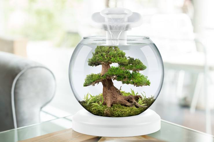 Круглый аквариум. Аквариумист Максим Ерёмин. Aqua Maxim