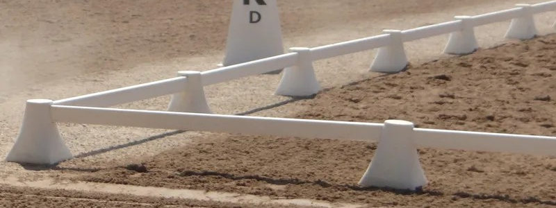 Liana Antanovich | Equestrian Strategies