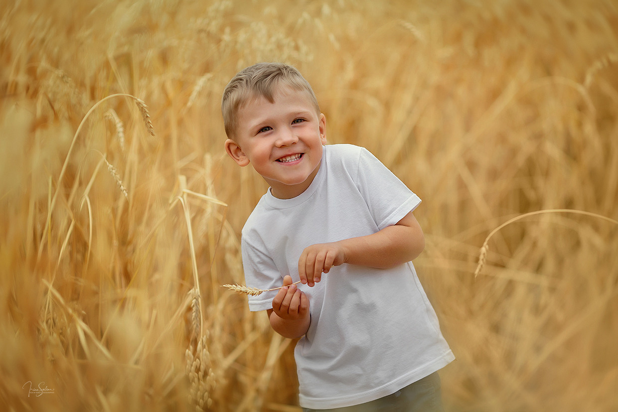 В пшенице. Детский и семейный фотограф в Екатеринбурге