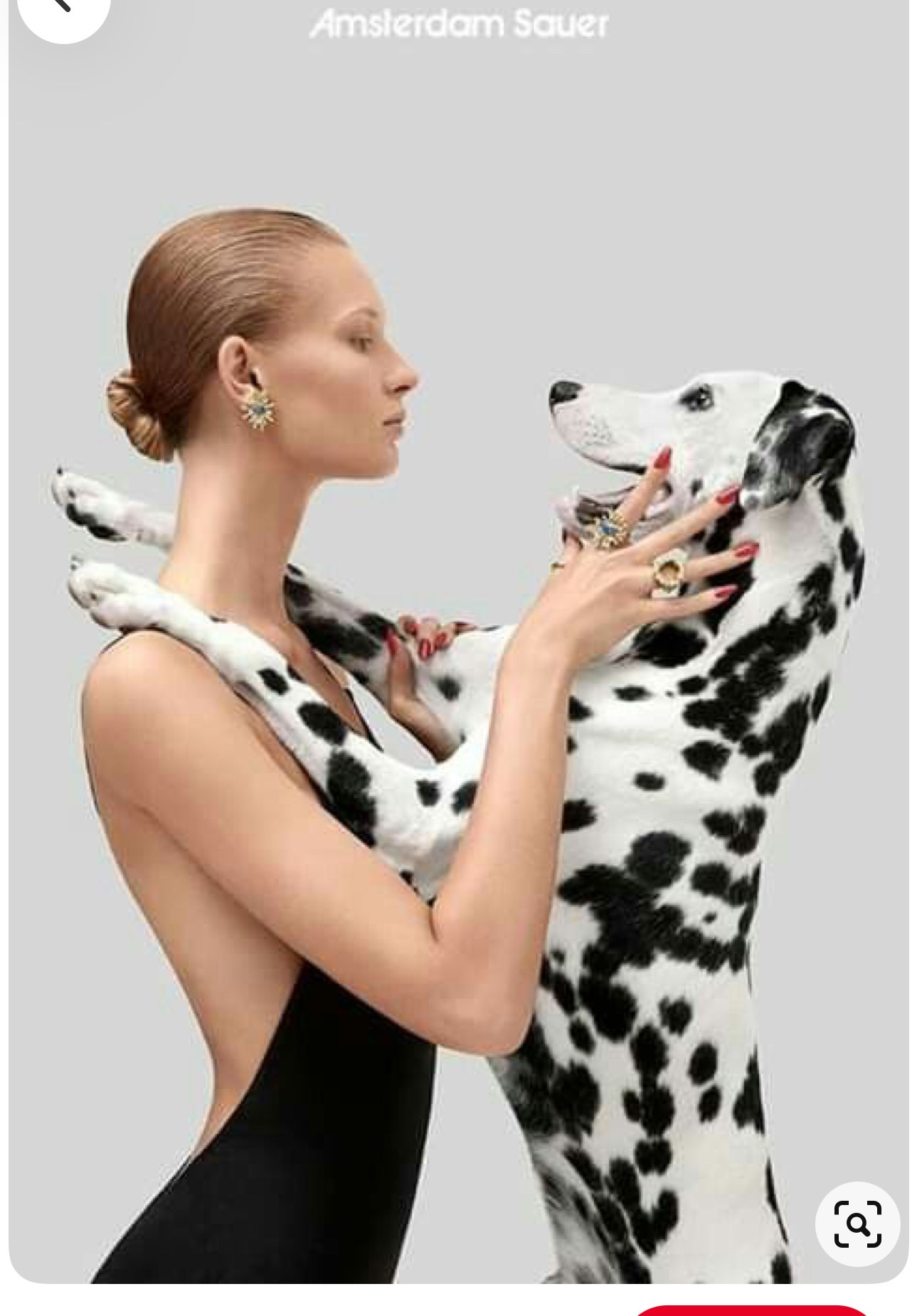 LA PULCHI СЪЕМКА С ЖИВОТНЫМИ КОНСУЛЬТАЦИЯ ПО ПОДГОТОВКЕ