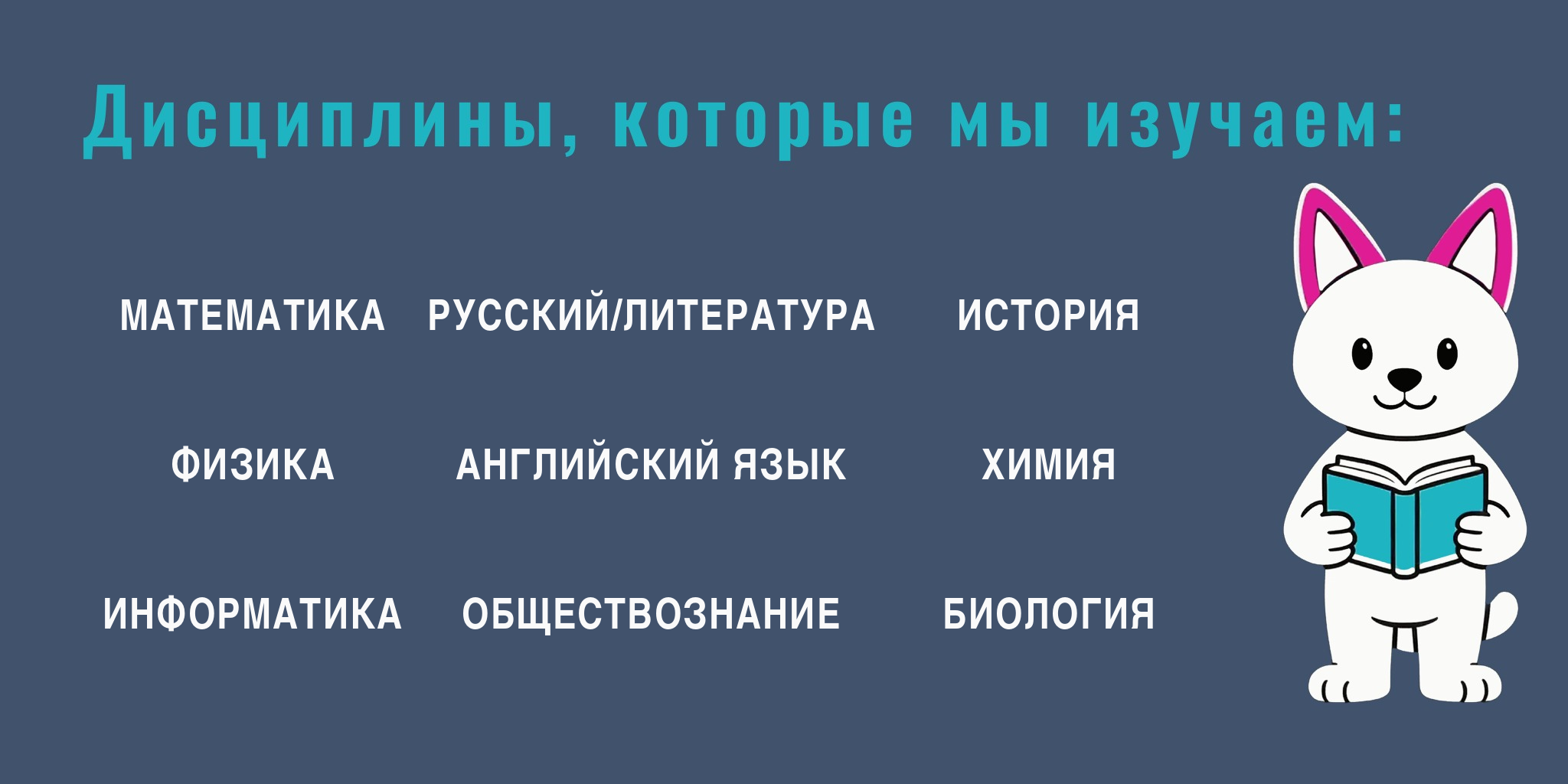 Скиллис-скул.рф Скиллис — команда онлайн-репетиторов