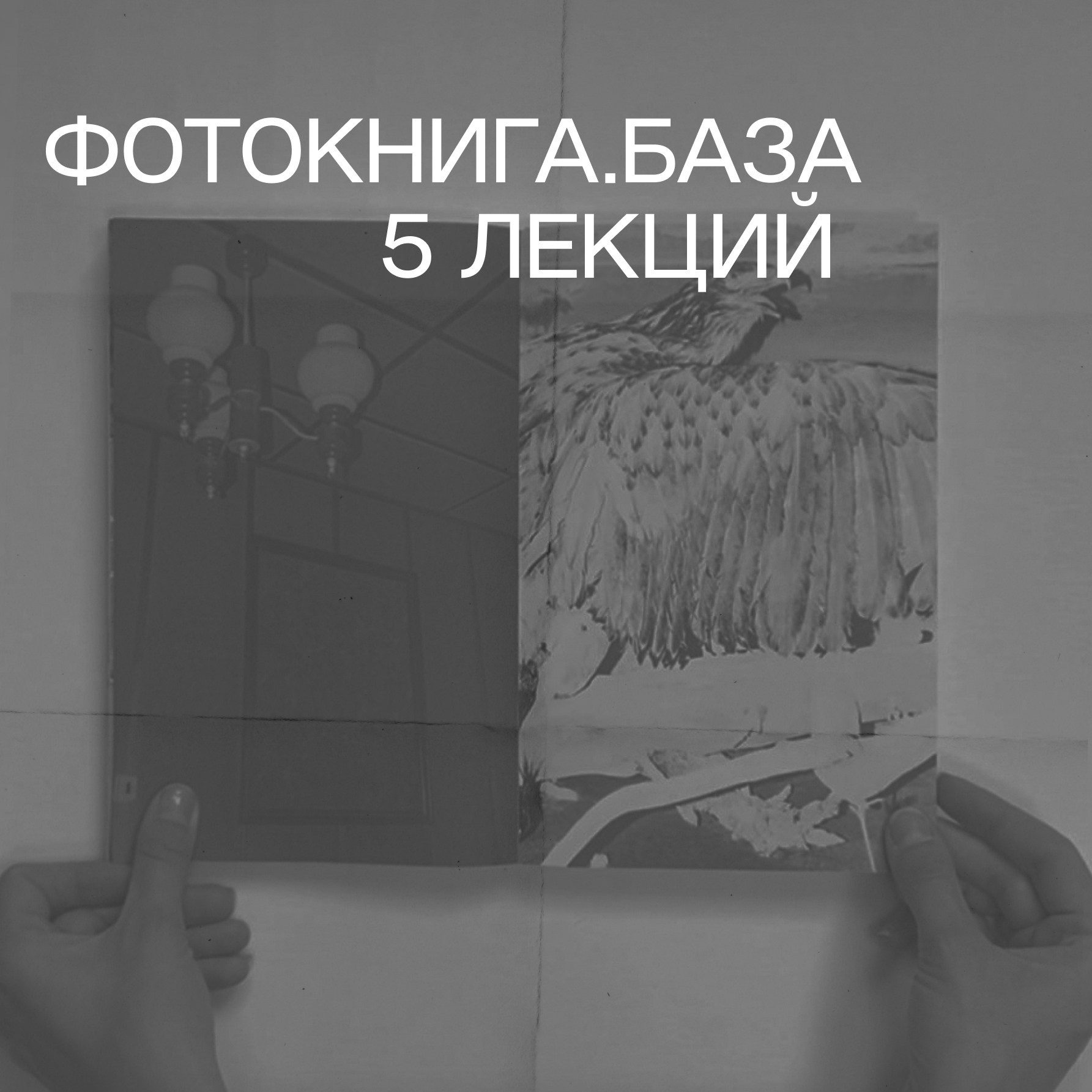 Фотокнига.база. Самоорганизация Низина