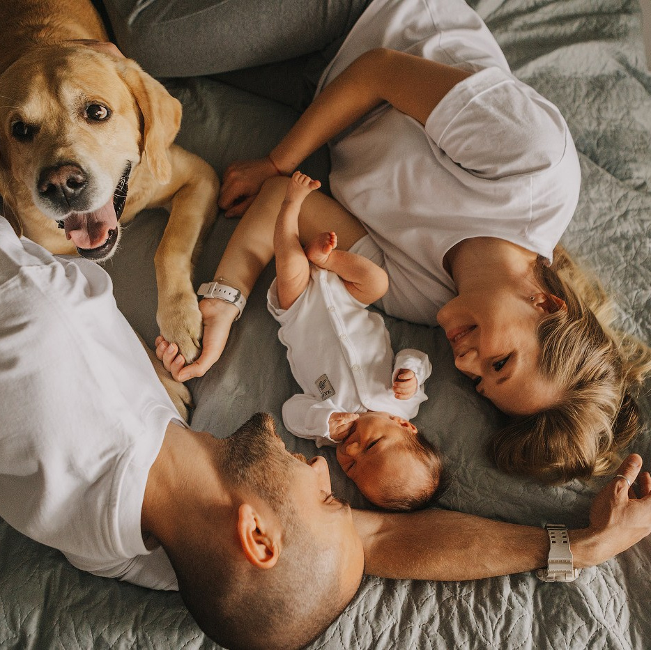 Максимум Результата Минимум Усилий: Пресеты для Фотографов. Семейный Фотограф Москва: Семья, Love Story, Контент для Блога/Маркетплейсов