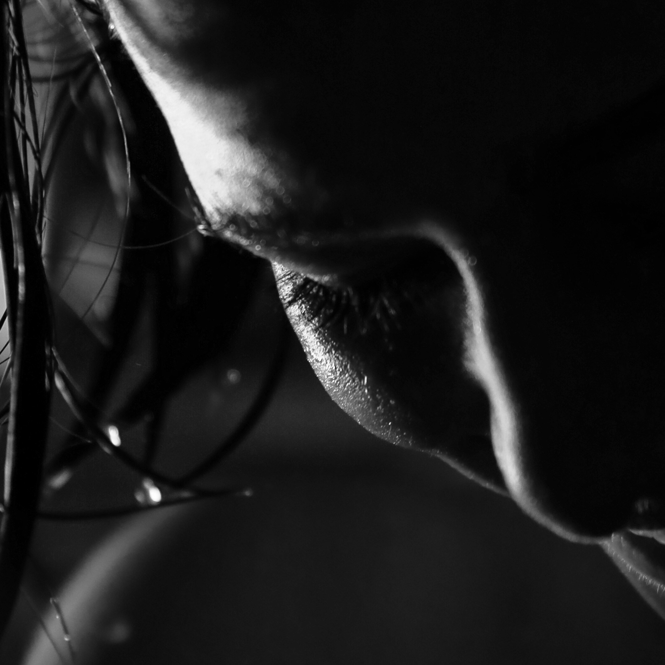 Контакты. ВИДЕОСЪЕМКА И ФОТОСЪЕМКА МОСКВА