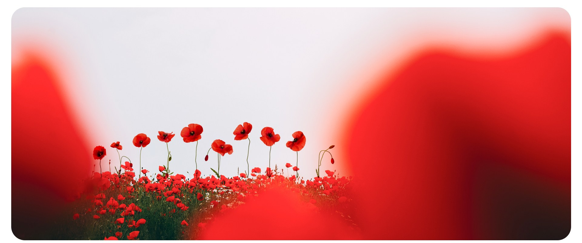 Калининград 2. Фотограф из Москвы — DASHA NOVA | Авторская фотография в разных жанрах