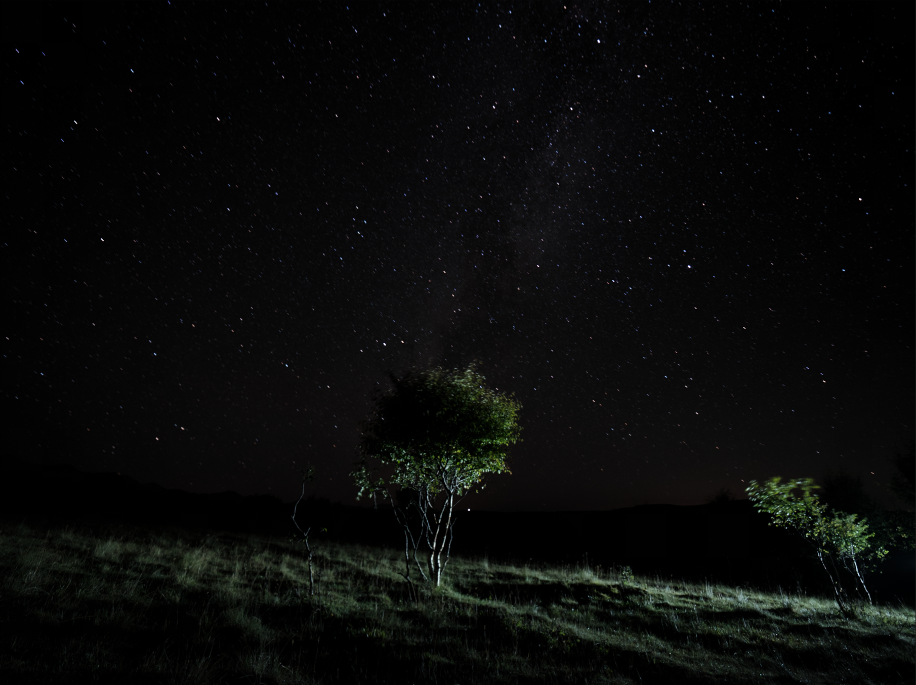 Битва шумодавов. Фотограф Константин Шамин