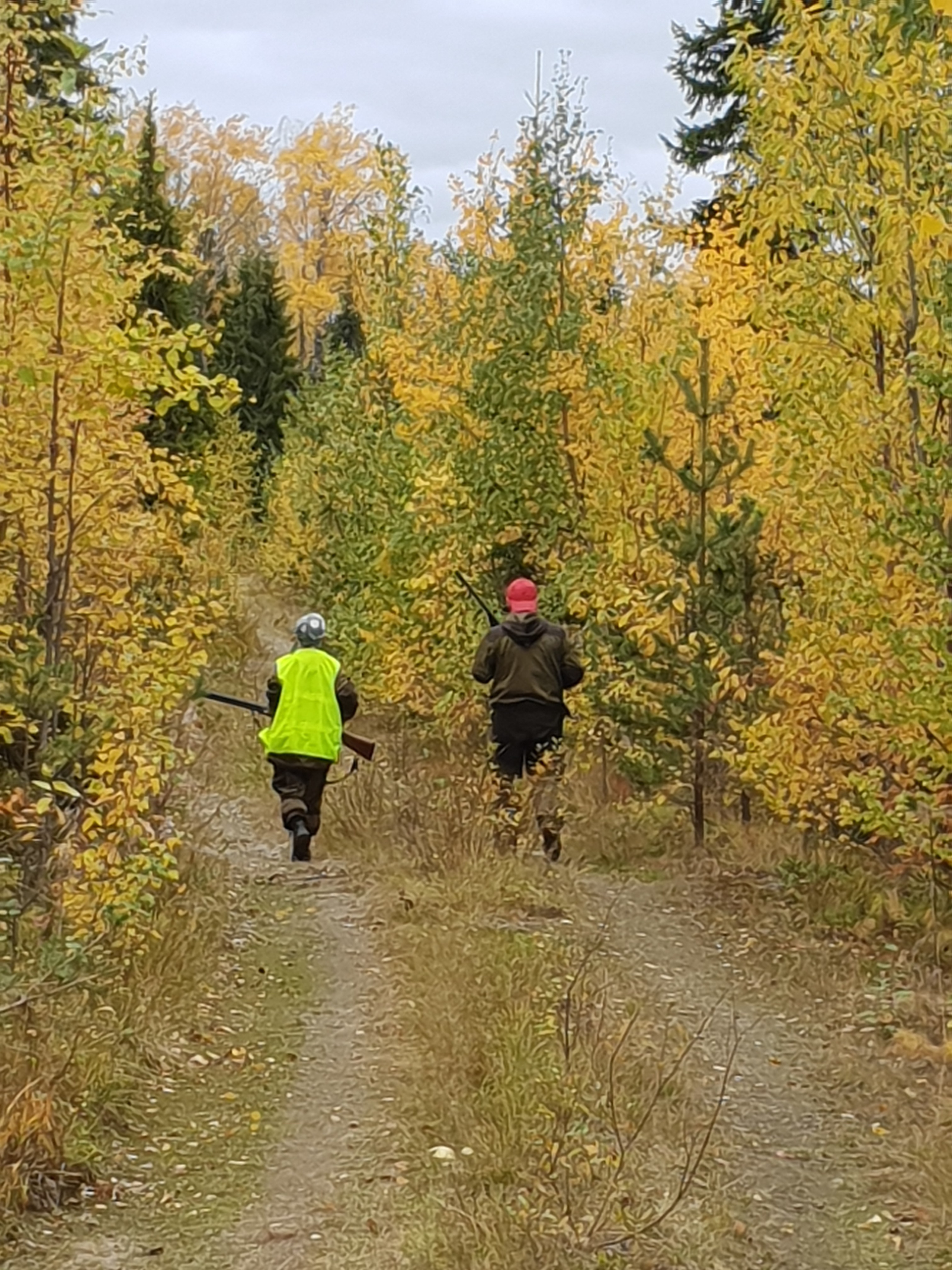 2018 — Незабываемая Карелия, Зашеек. OneSnap