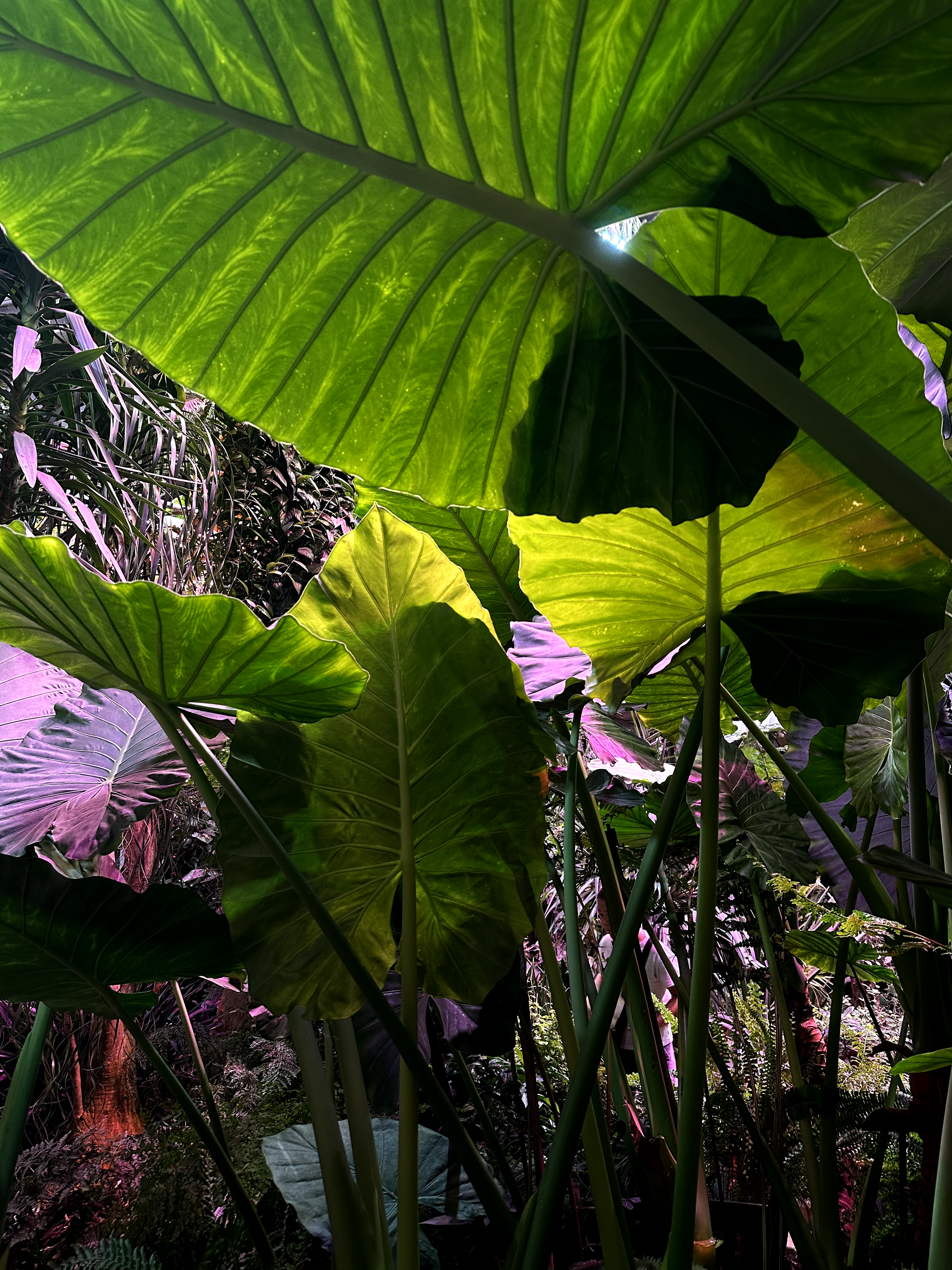 Кольский полуостров. Илья Варин — Фотограф Москва, Тверь