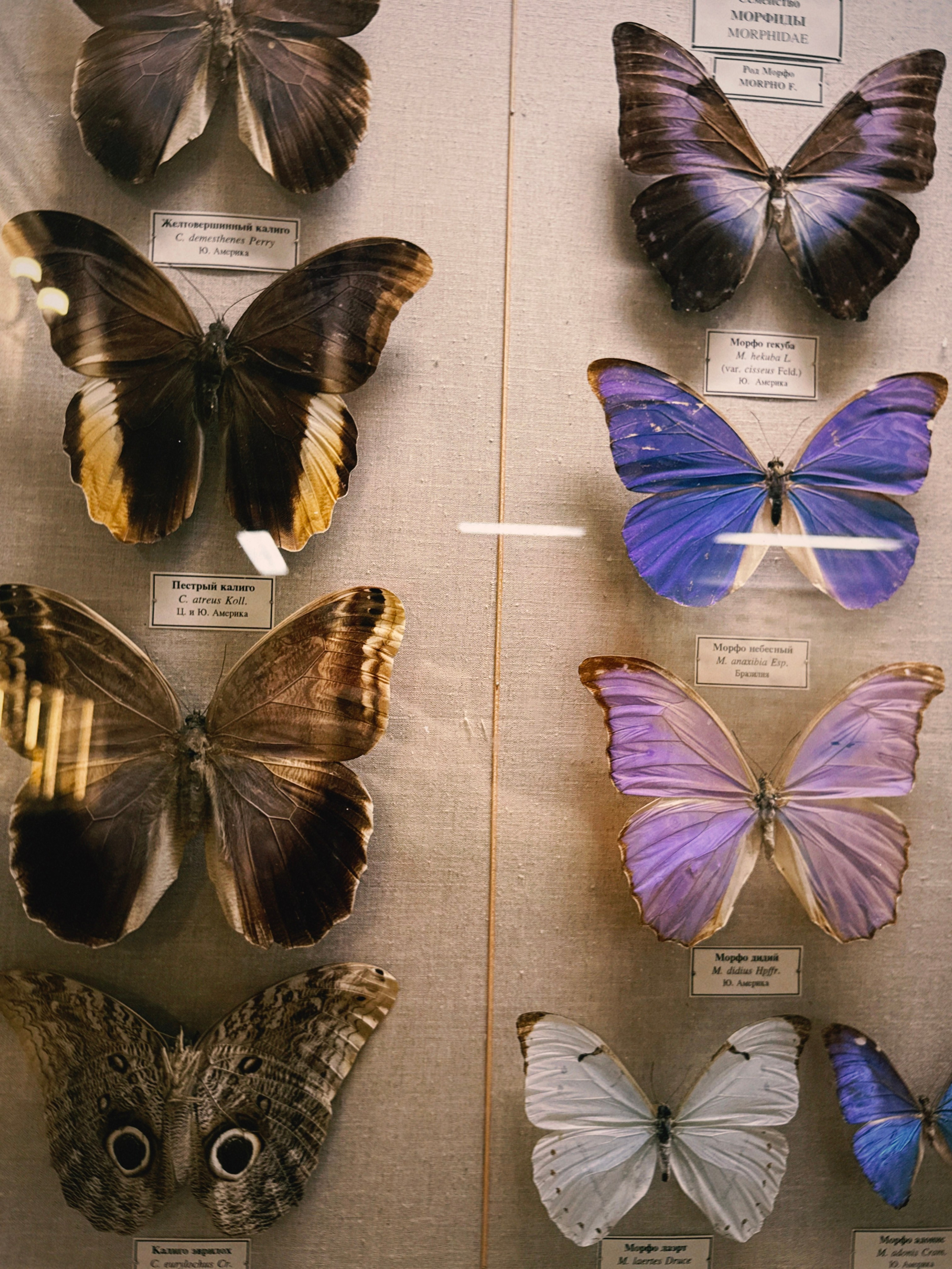 Блог фотографа о Санкт-Петербурге — лучшие зимние маршруты по городу, уникальные места, вдохновляющие локации