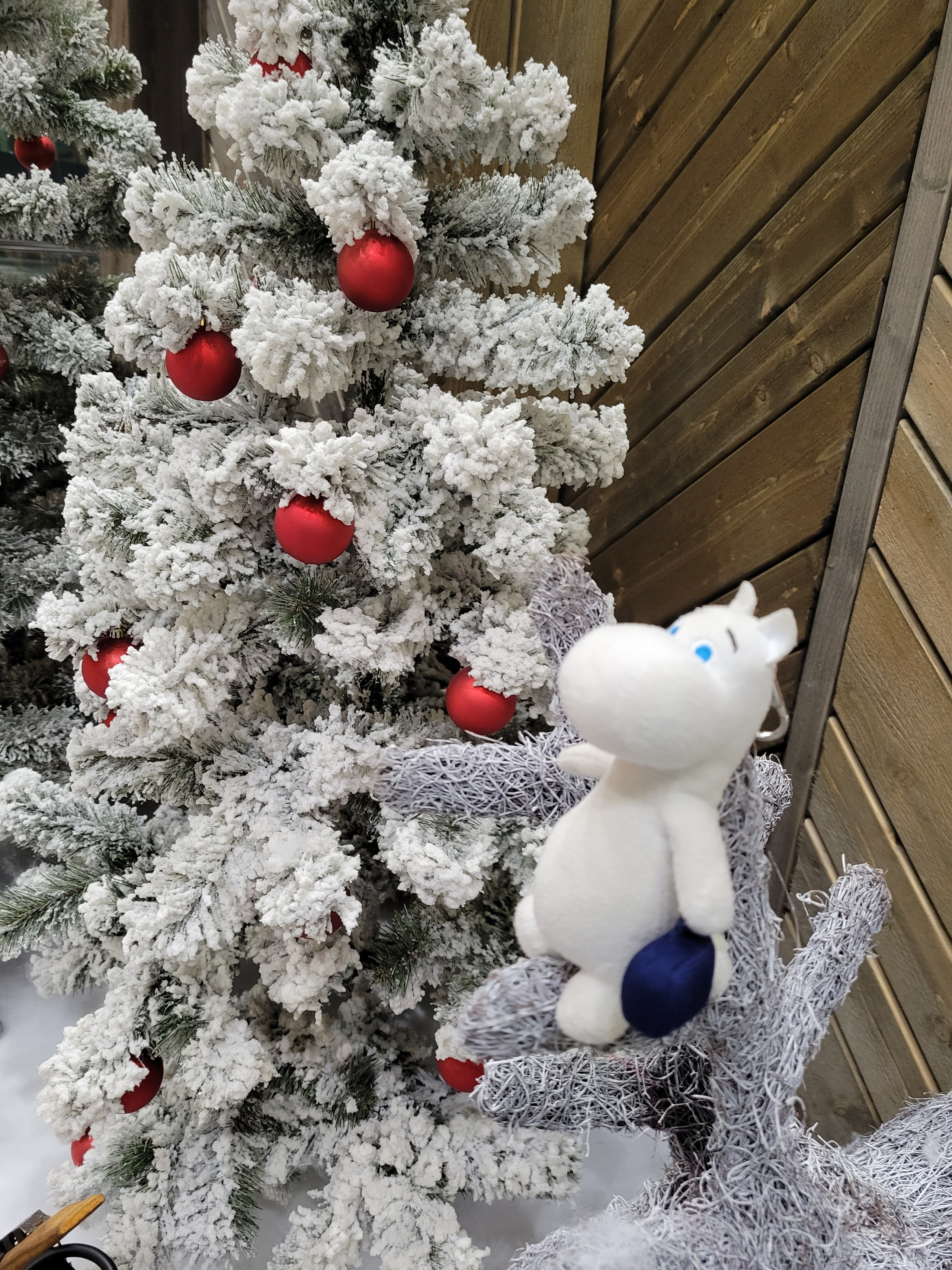 2021. Walk & Fly with Batay