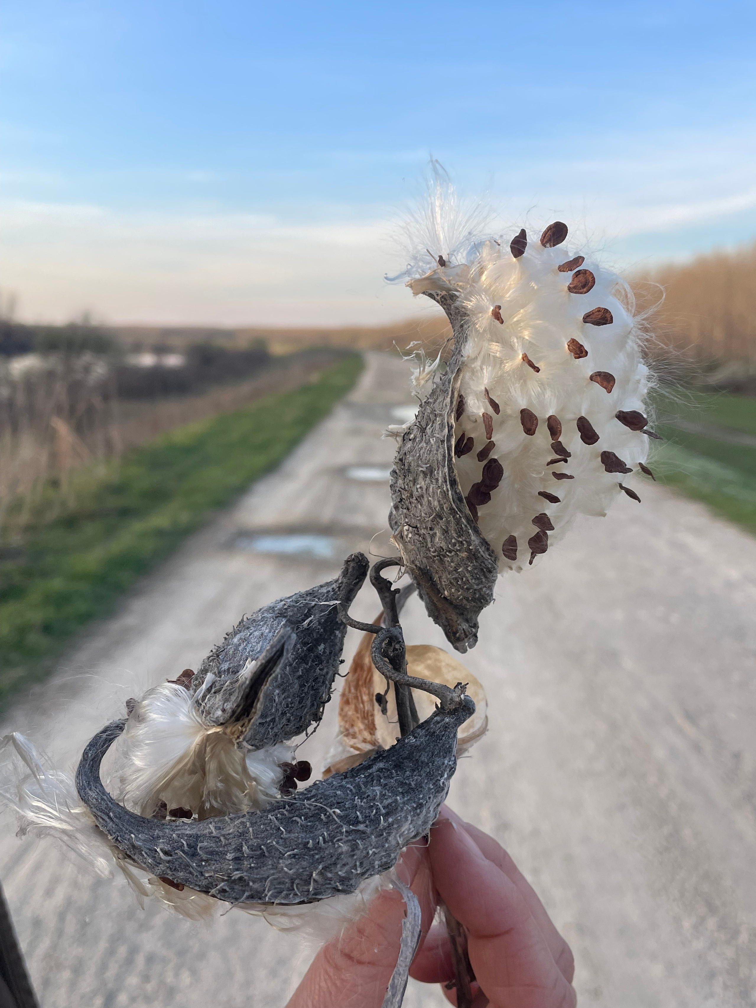 Наталия Бабинцева — ВЫДЕЛЕННАЯ ТЕРРИТОРИЯ: прогулки с N