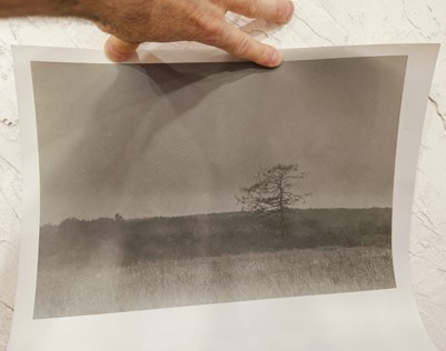 Цифровой след