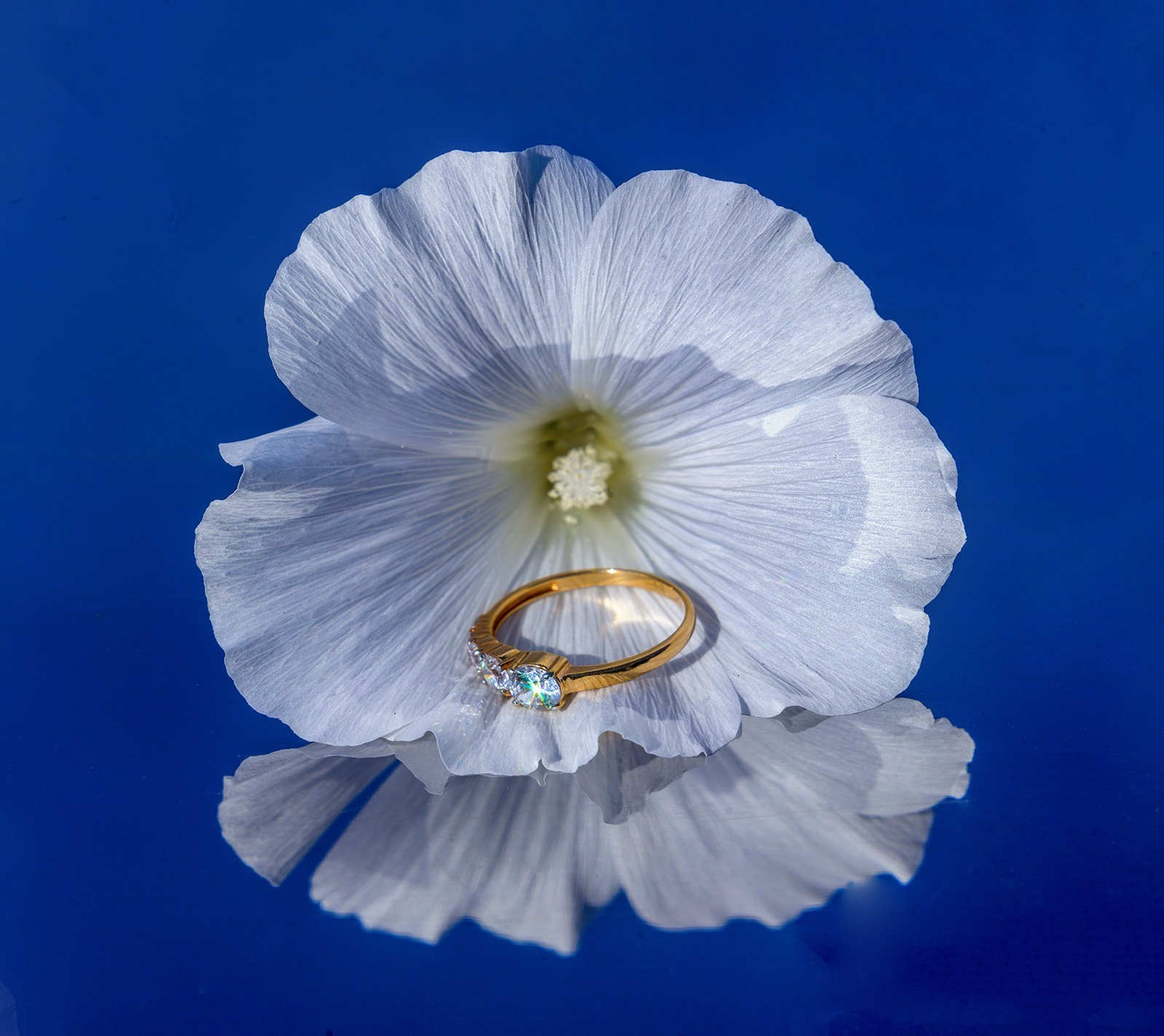 Предметная фотография. Персональный сайт Сергея Ру. город Минусинск