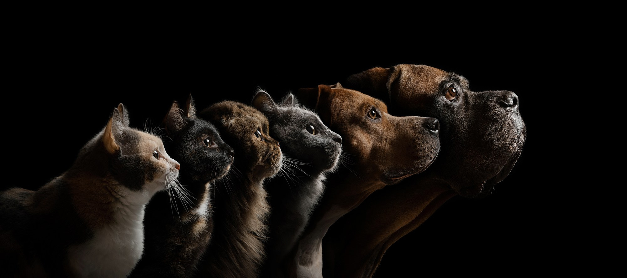 Портреты на чёрном фоне. Фотограф Анна Тюрина