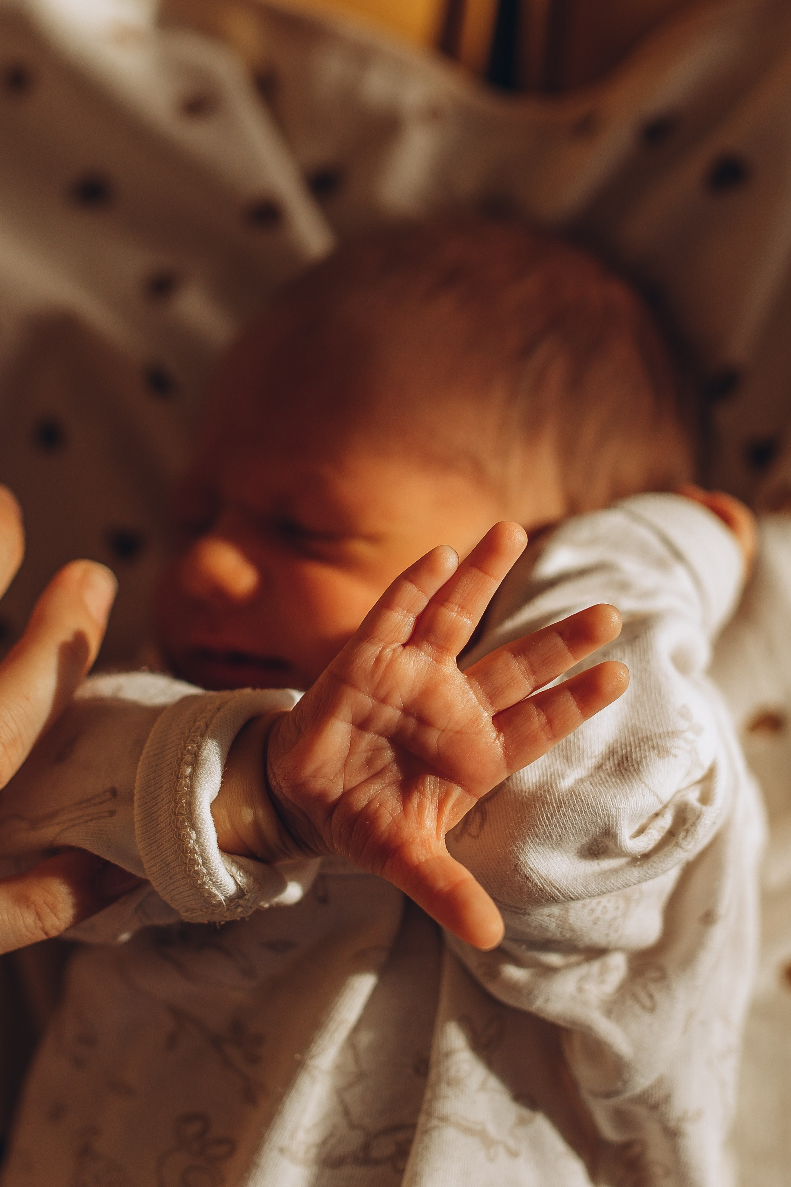 Малыш сладко спит на своей первой в жизни фотографии. Фотосессии для новорожденных в Санкт-Петербурге фотограф Маруся Самылкина.