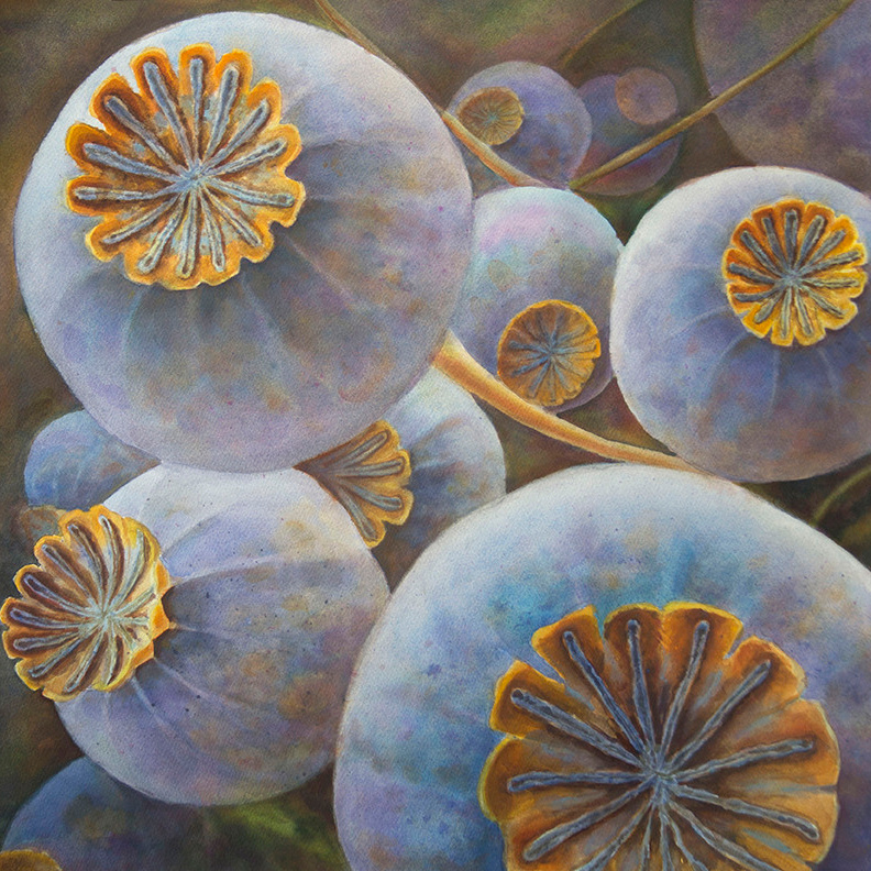 Елена Опалева — художница. Москва