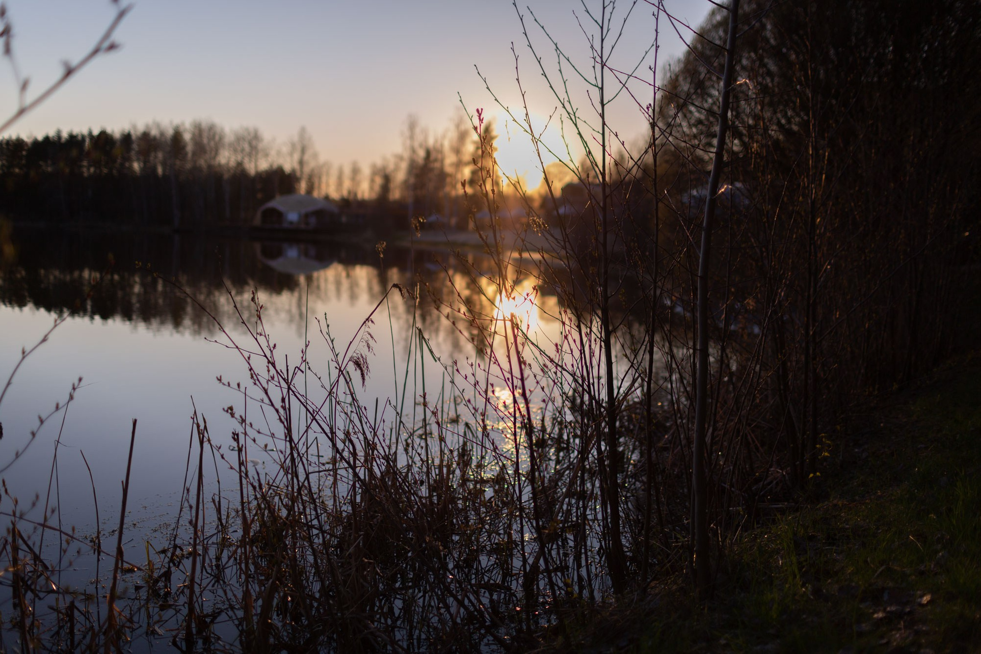 Ирина Москвина | фотограф | Москва