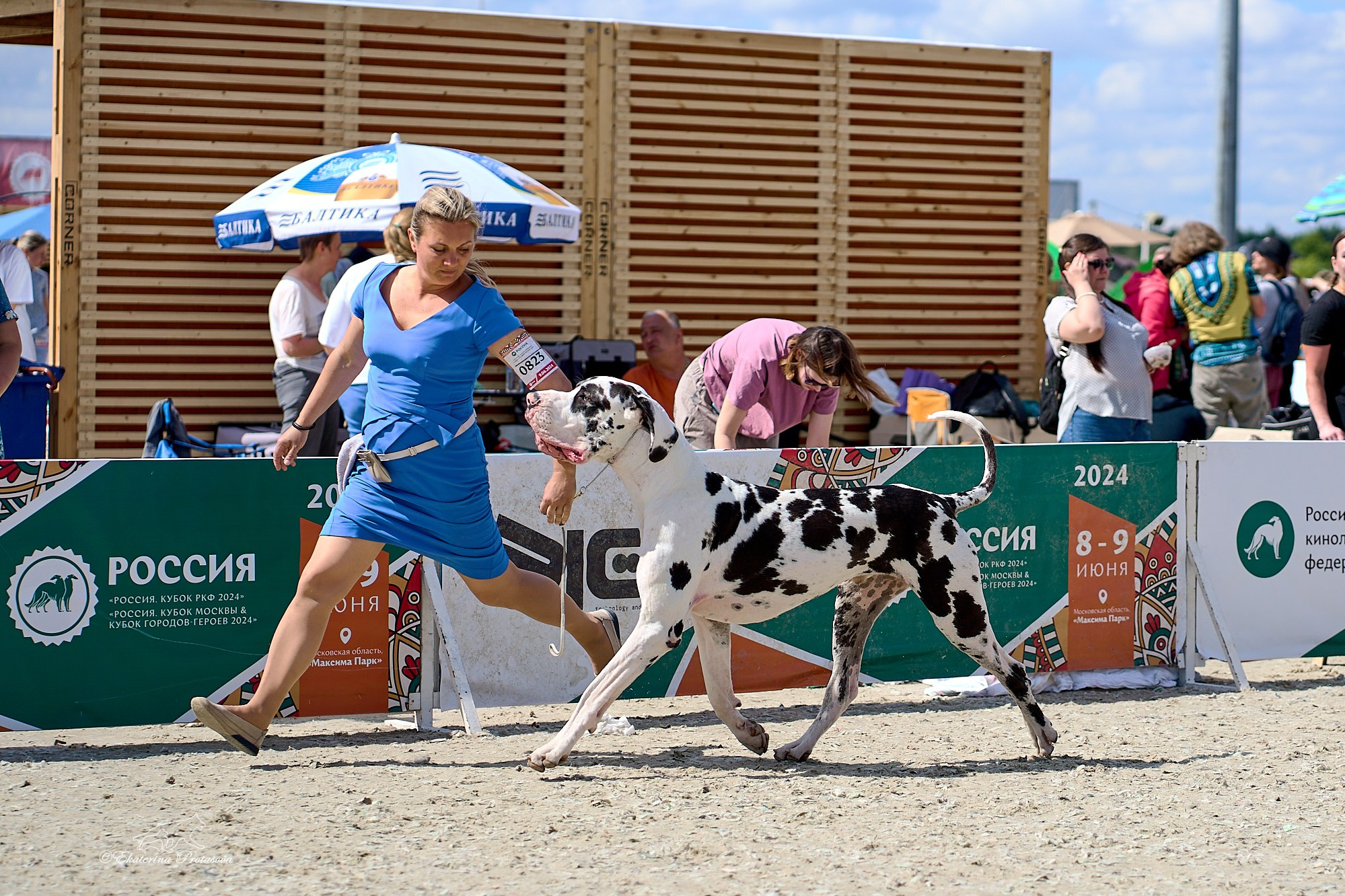 Обо мне. Фотограф-анималист в Иркутске