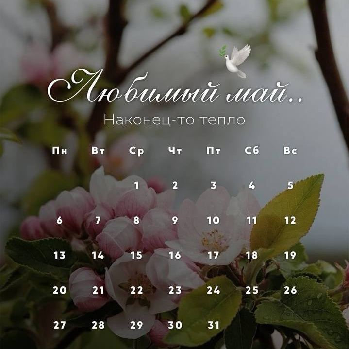 КАЛЕНДАРЬ БРОНИРОВАНИЯ. Контент фотограф в Москве Кати Федотова