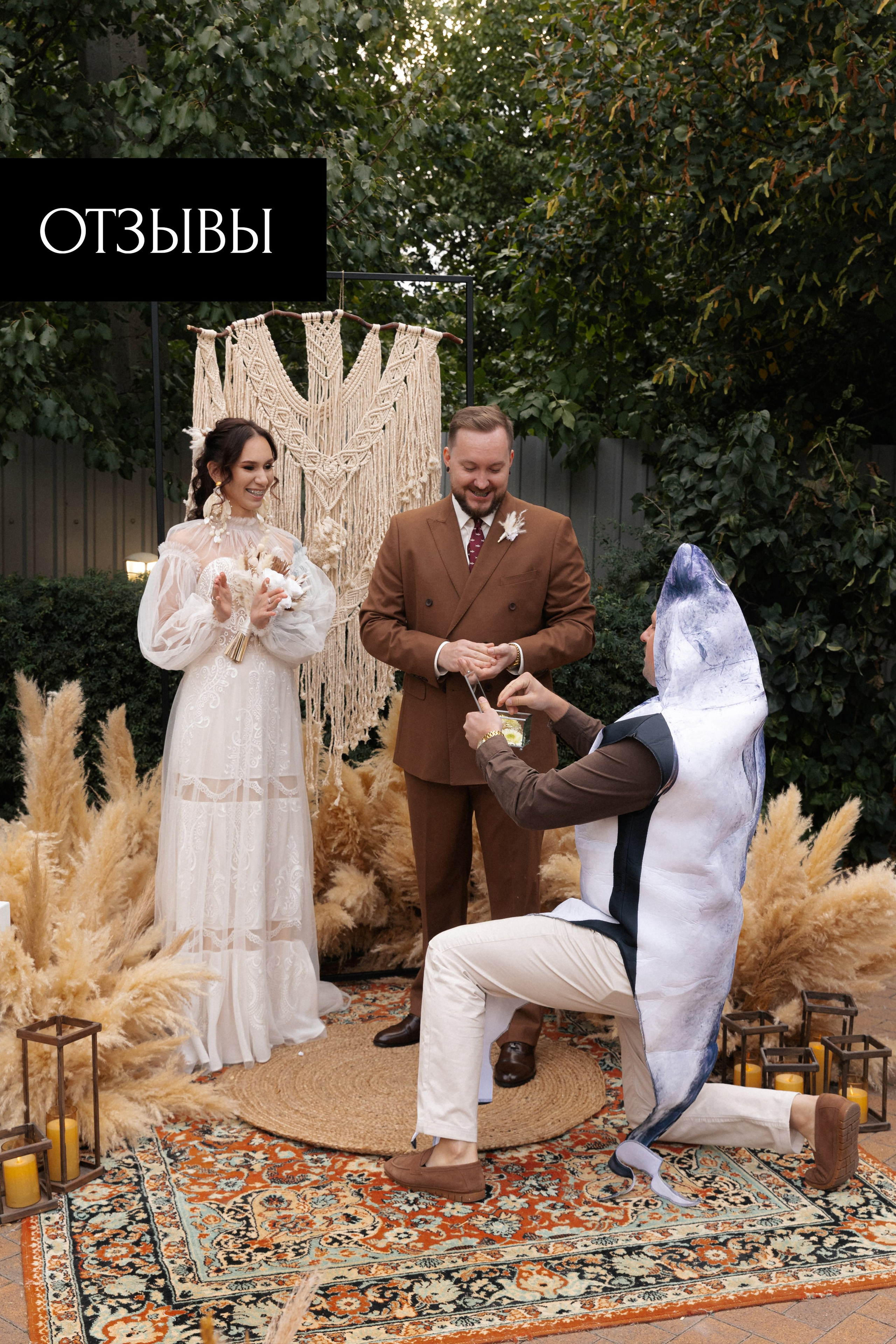 Видеограф Ростов