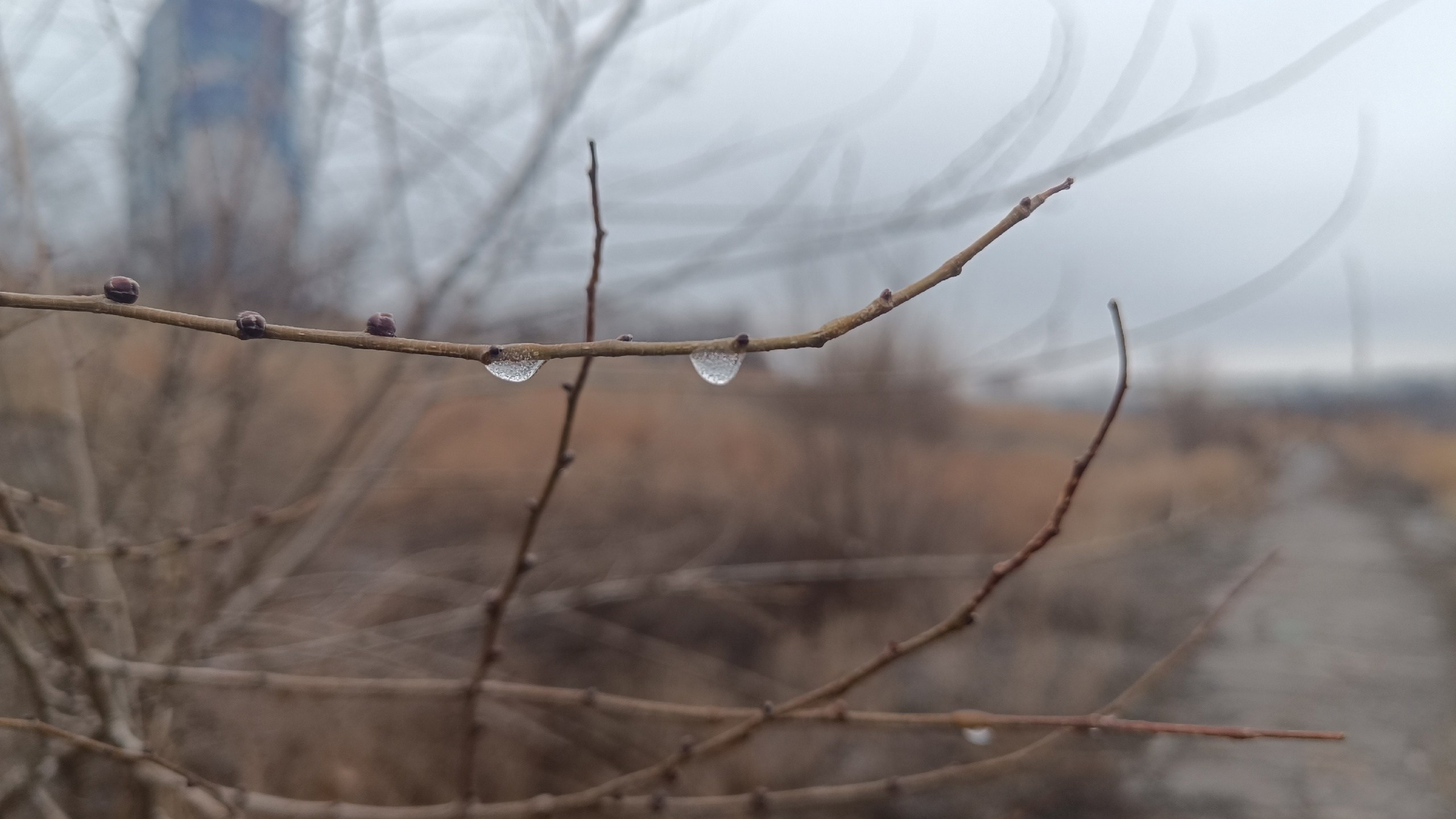 Читальный зал. Марина Рыбкина — Глубинная психология