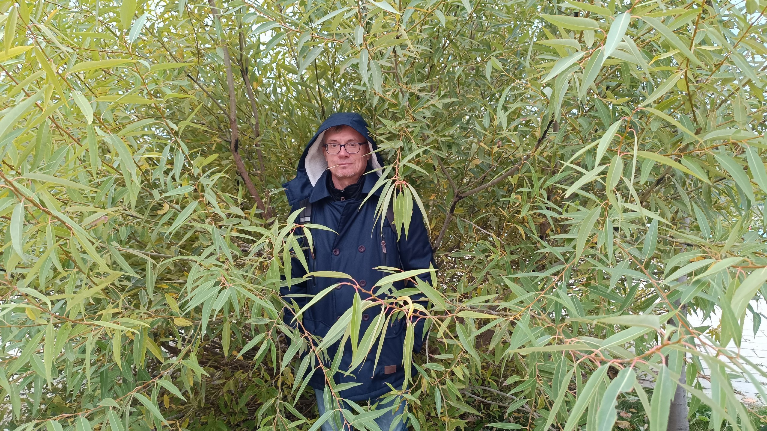 Читальный зал. Марина Рыбкина — Глубинная психология