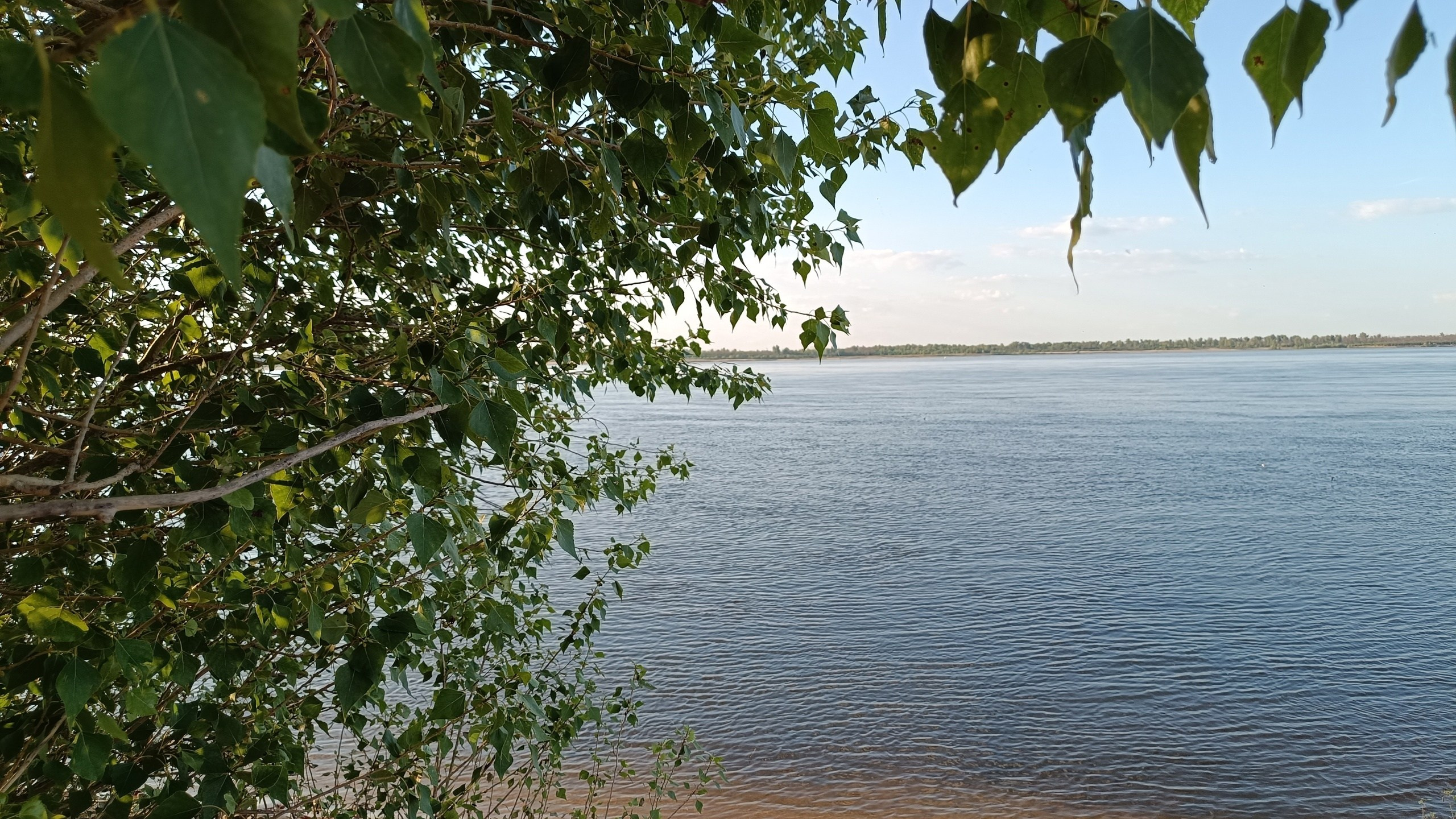 Читальный зал. Марина Рыбкина — Глубинная психология