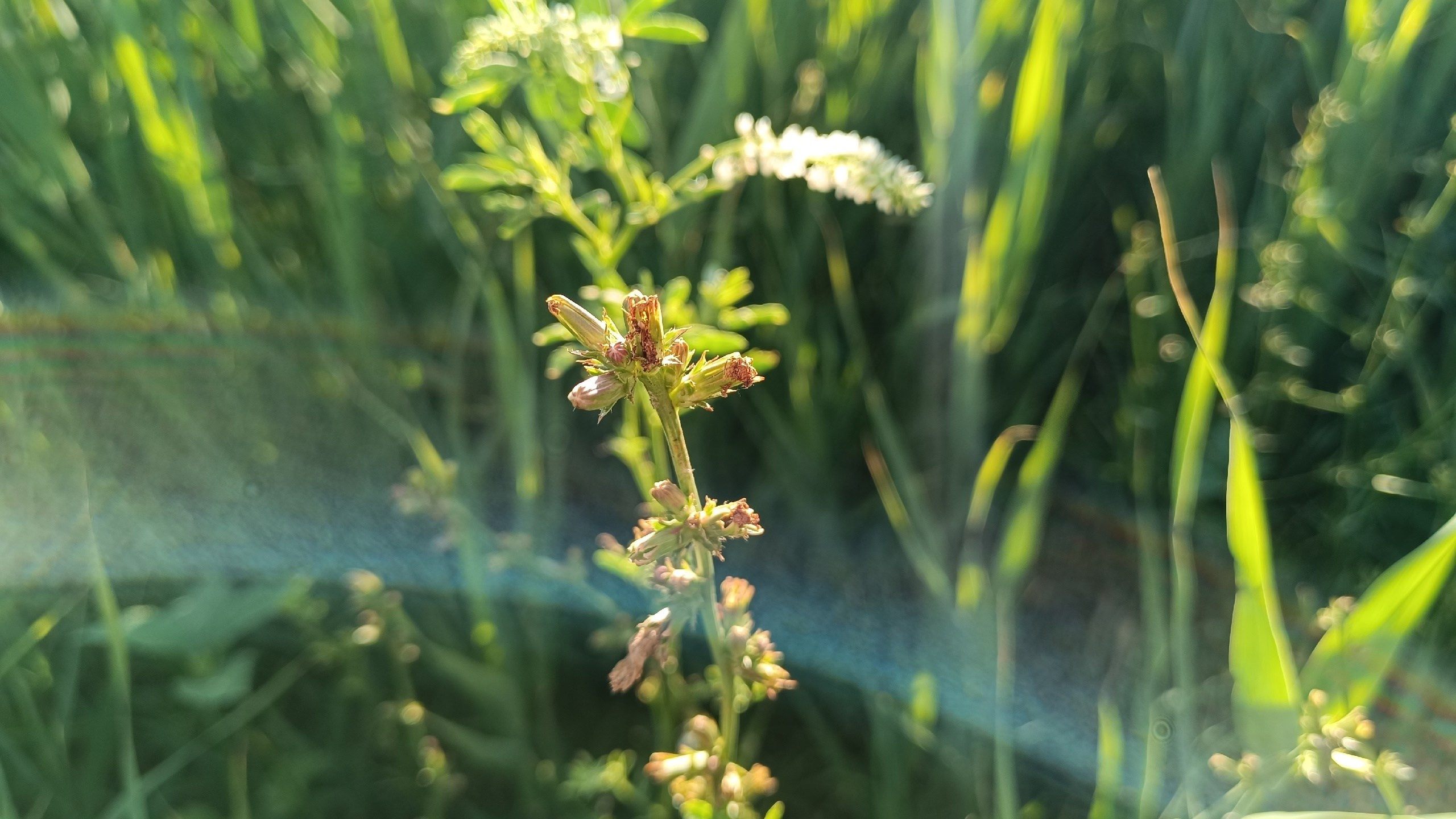 Читальный зал. Марина Рыбкина — Глубинная психология