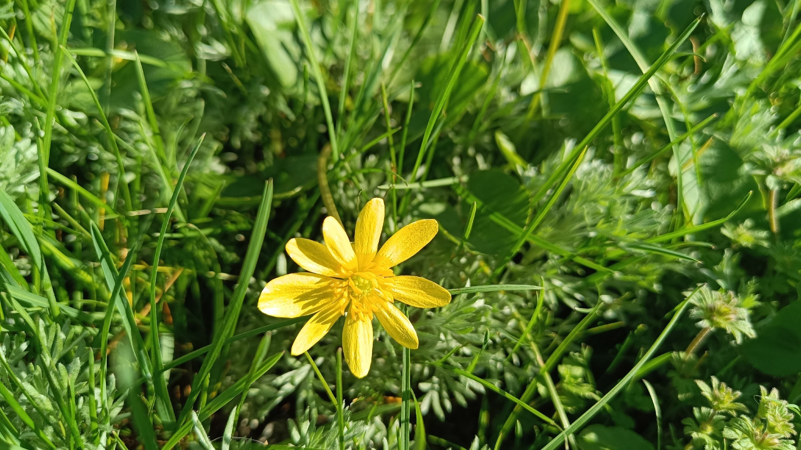 Читальный зал. Марина Рыбкина — Глубинная психология