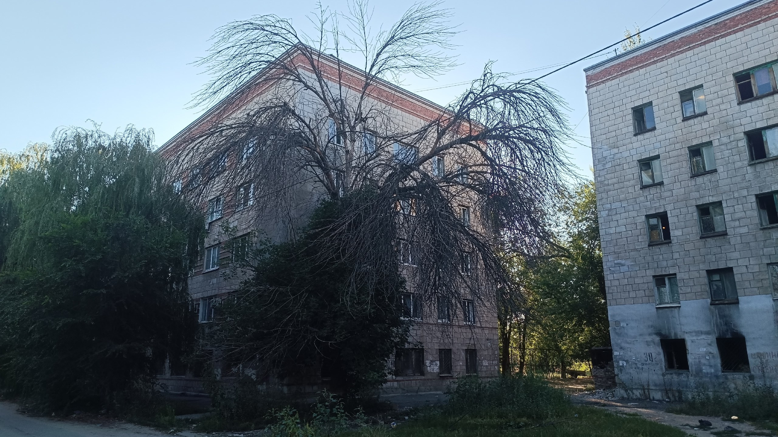 Читальный зал. Марина Рыбкина — Глубинная психология