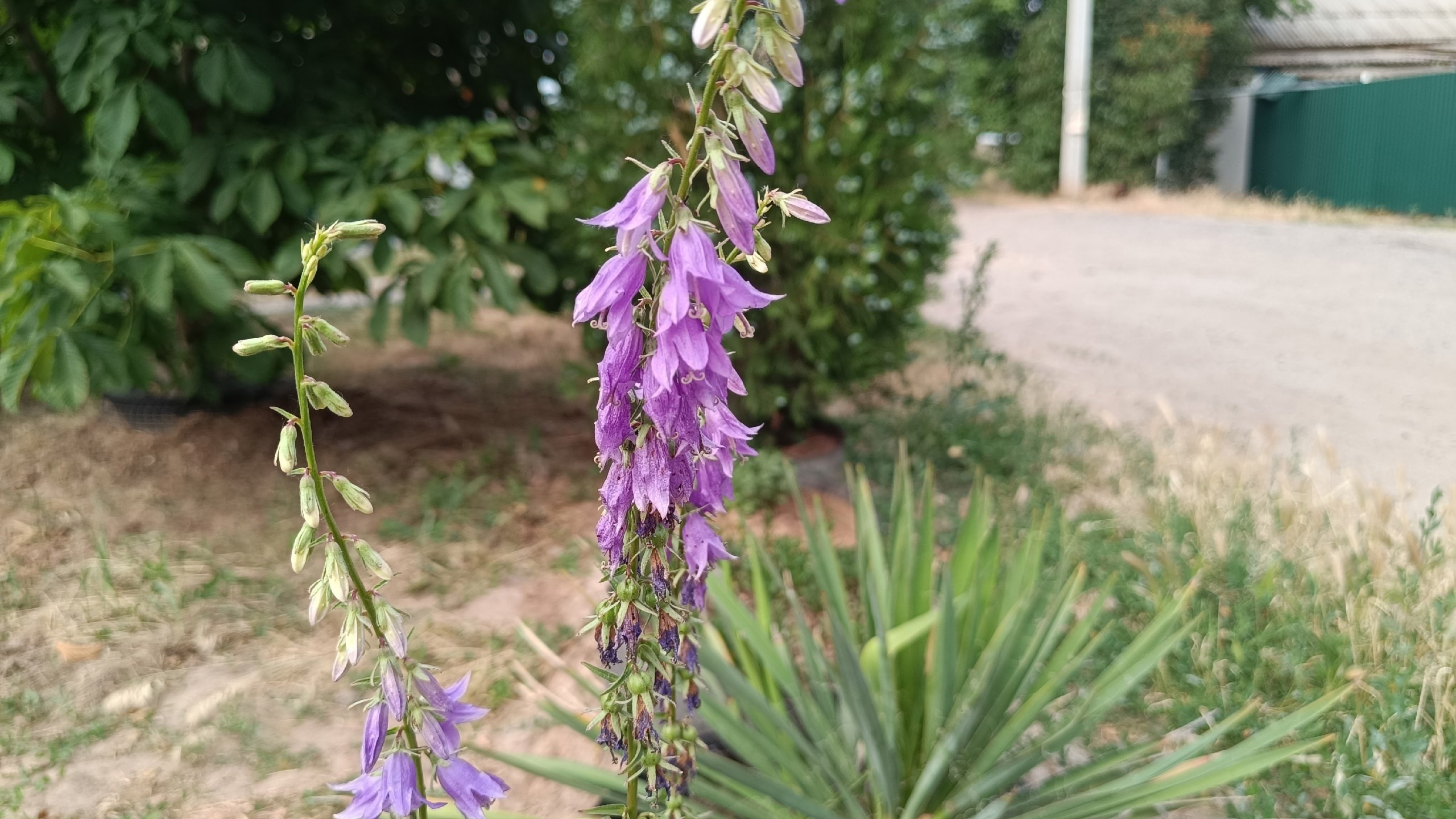 Читальный зал. Марина Рыбкина — Глубинная психология