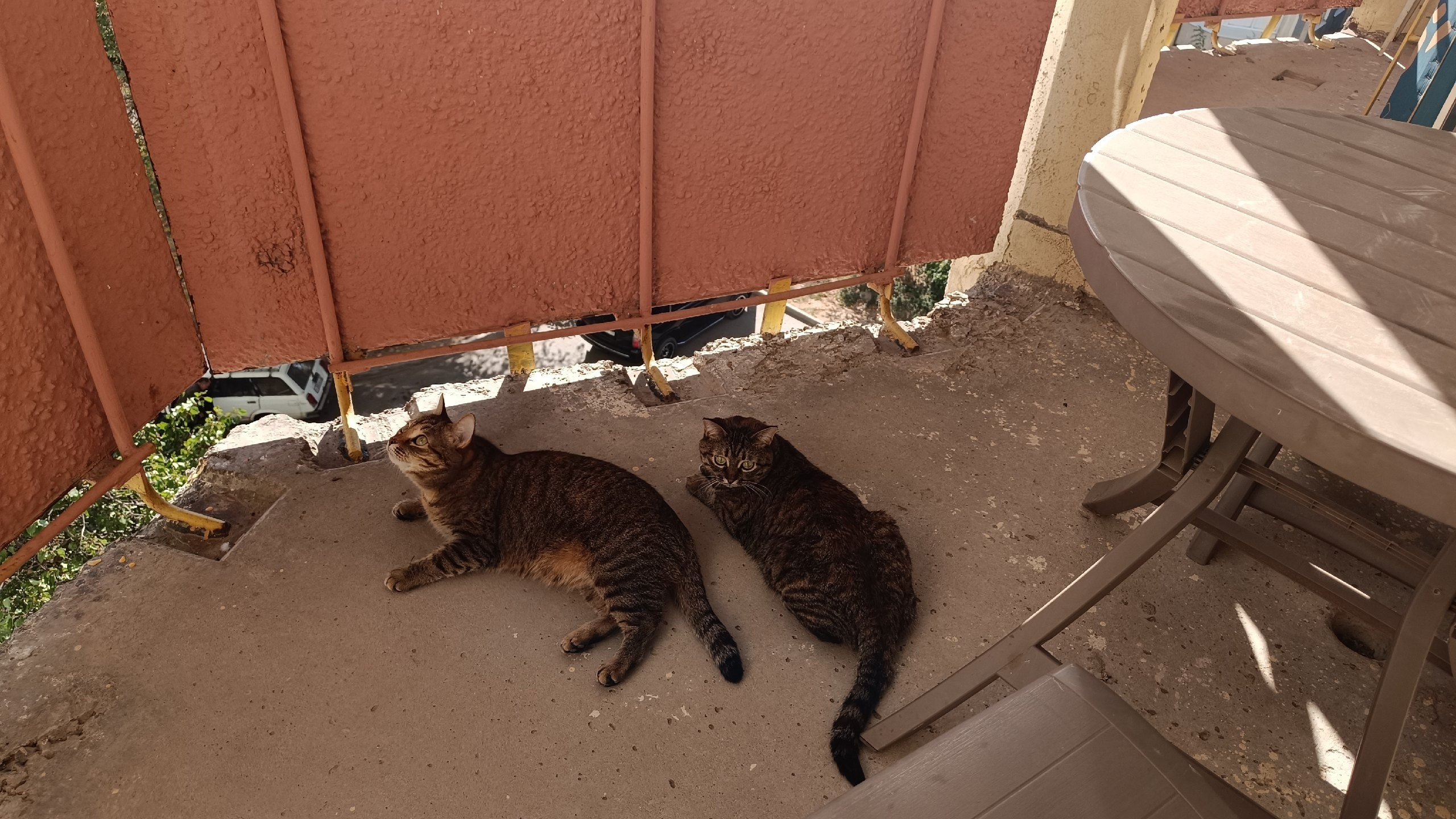 Читальный зал. Марина Рыбкина — Глубинная психология