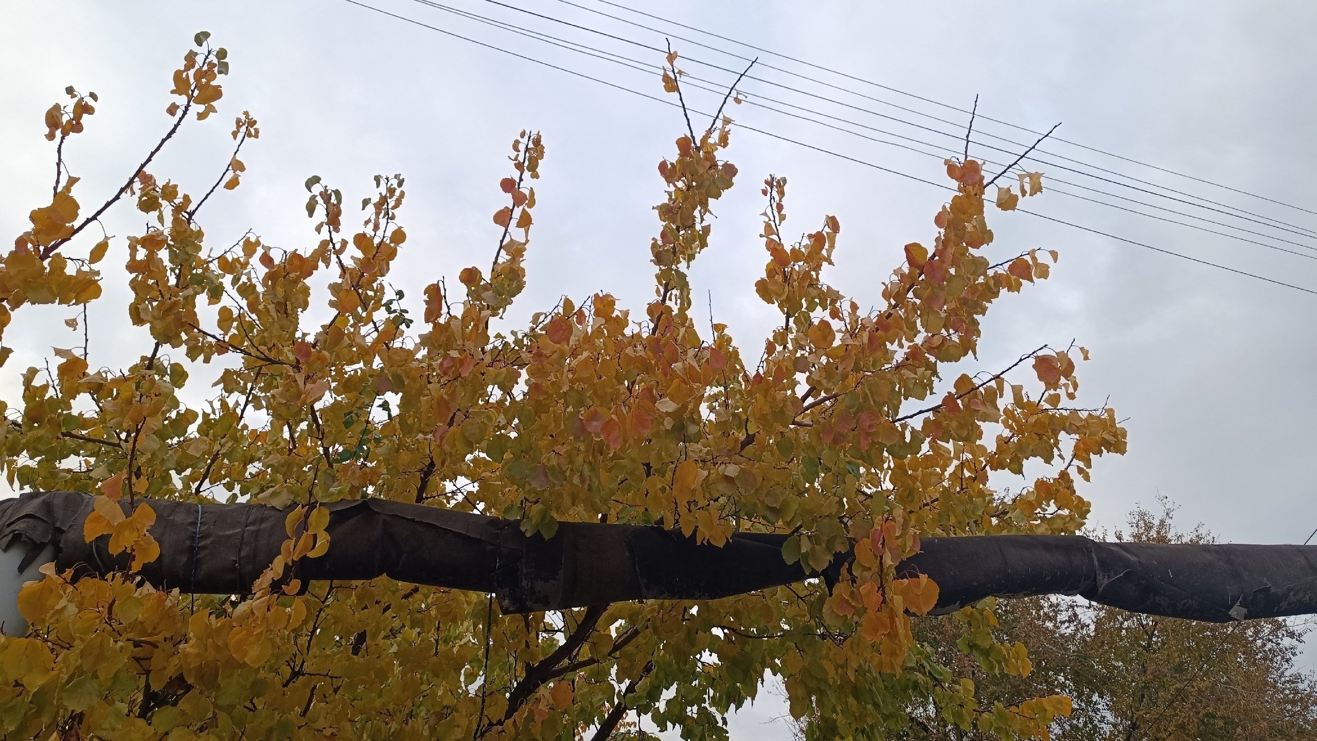 Читальный зал. Марина Рыбкина — Глубинная психология