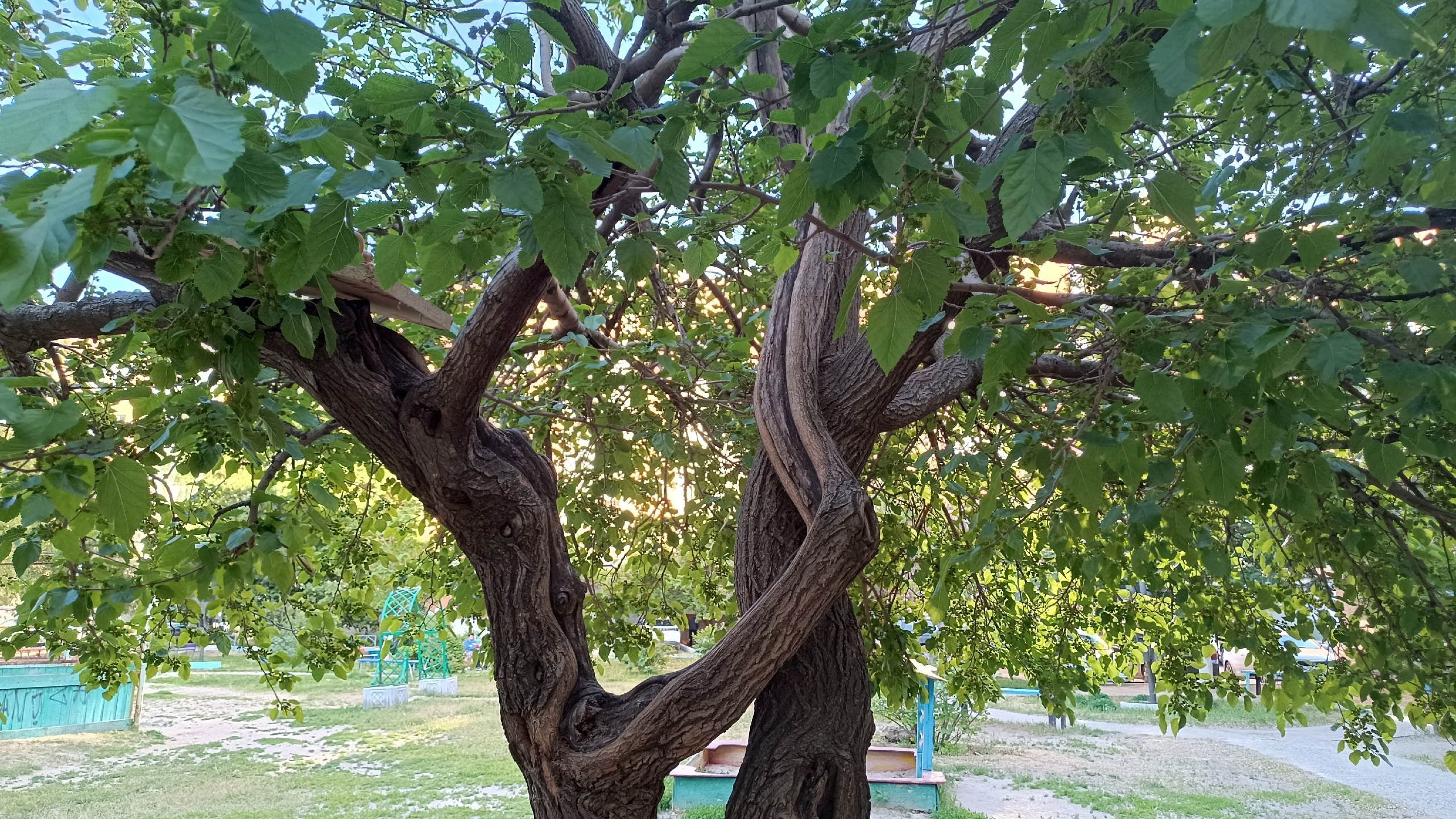 Читальный зал. Марина Рыбкина — Глубинная психология