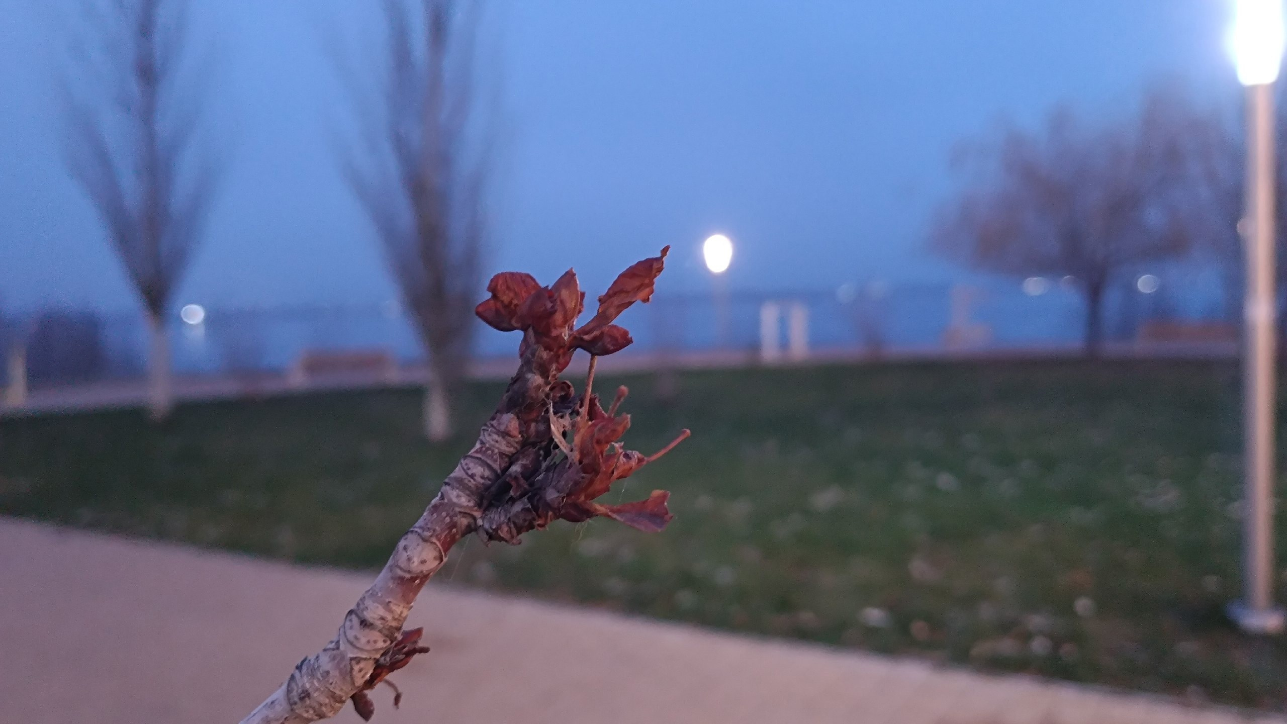 Читальный зал. Марина Рыбкина — Глубинная психология