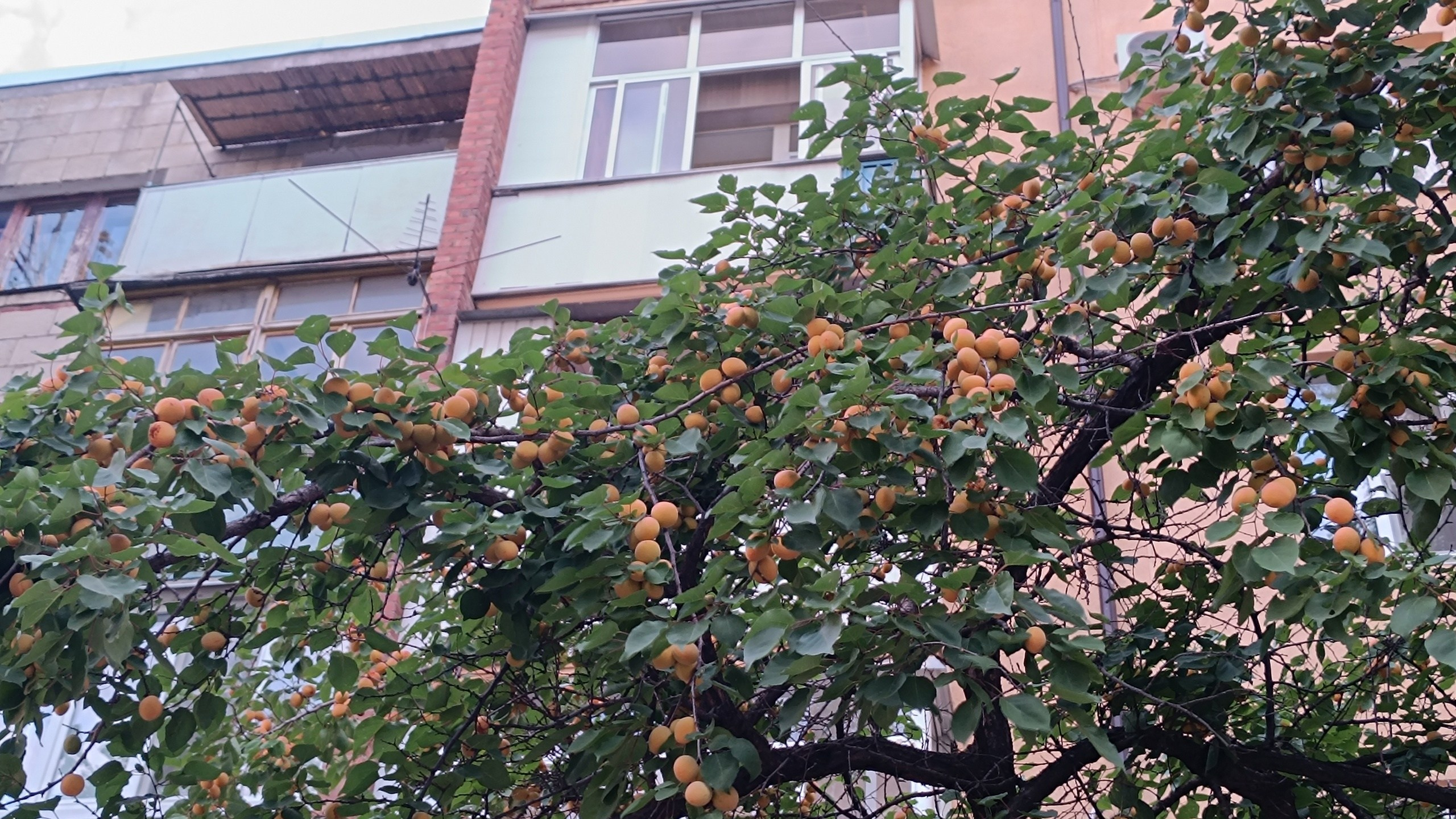 Читальный зал. Марина Рыбкина — Глубинная психология