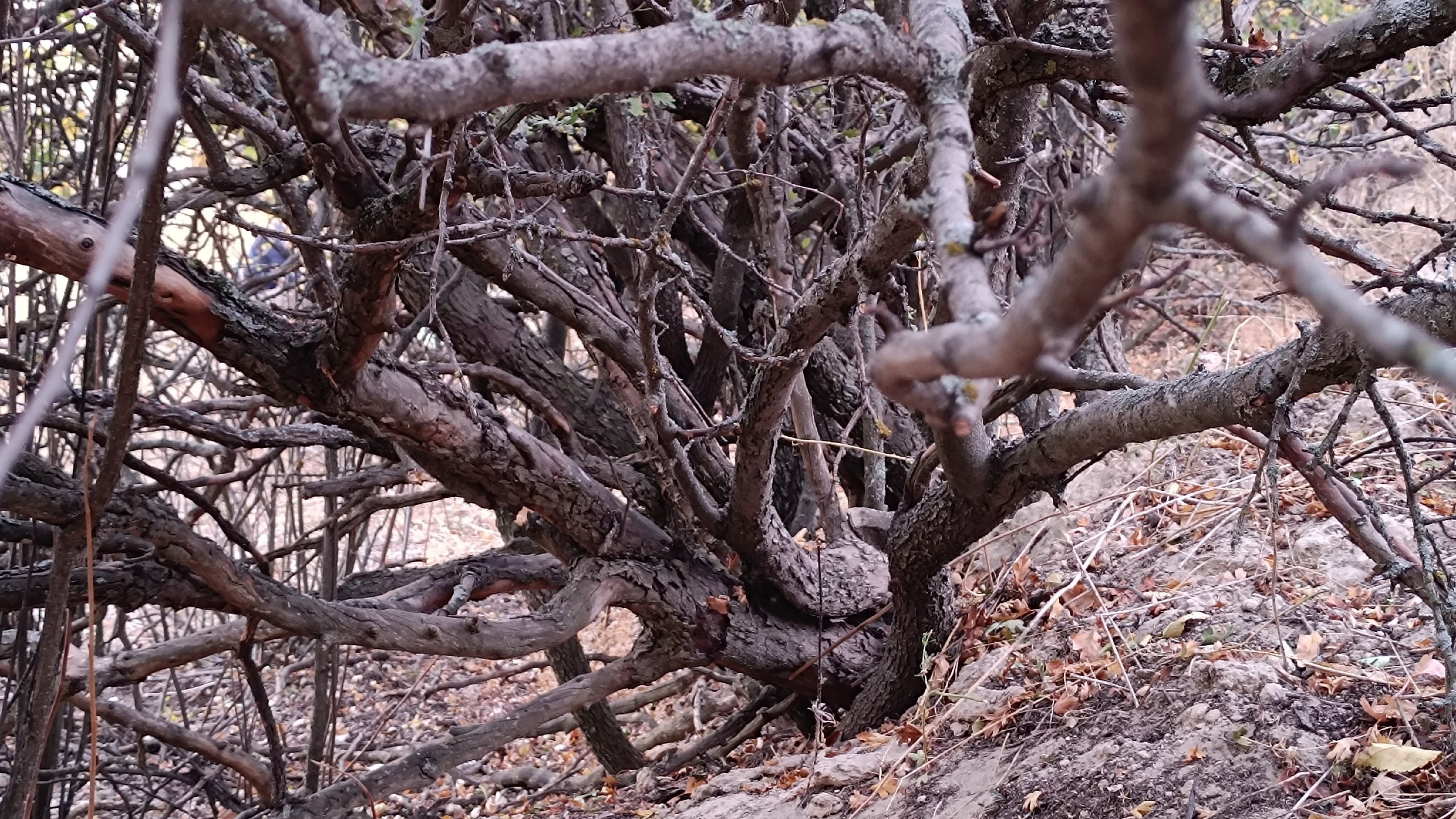 Читальный зал. Марина Рыбкина — Глубинная психология