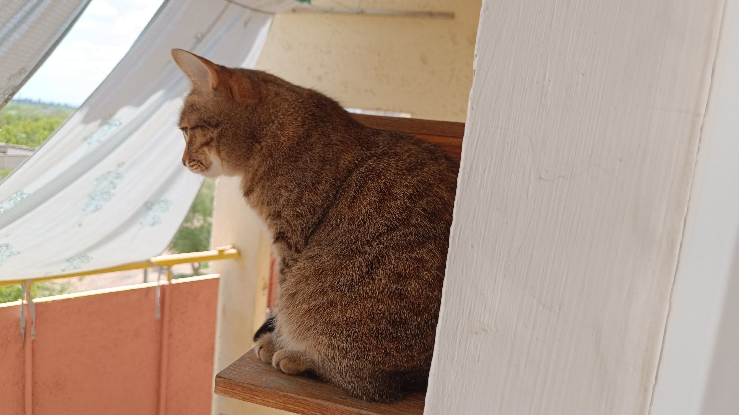Читальный зал. Марина Рыбкина — Глубинная психология