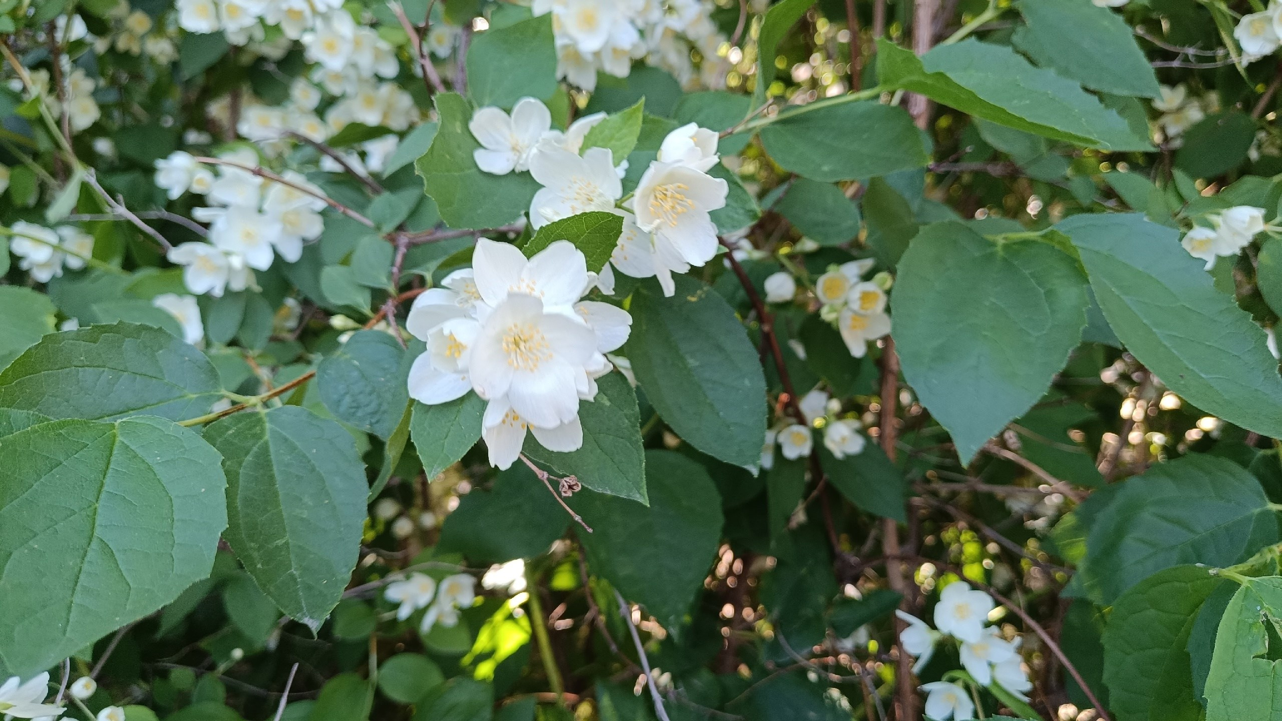 Читальный зал. Марина Рыбкина — Глубинная психология