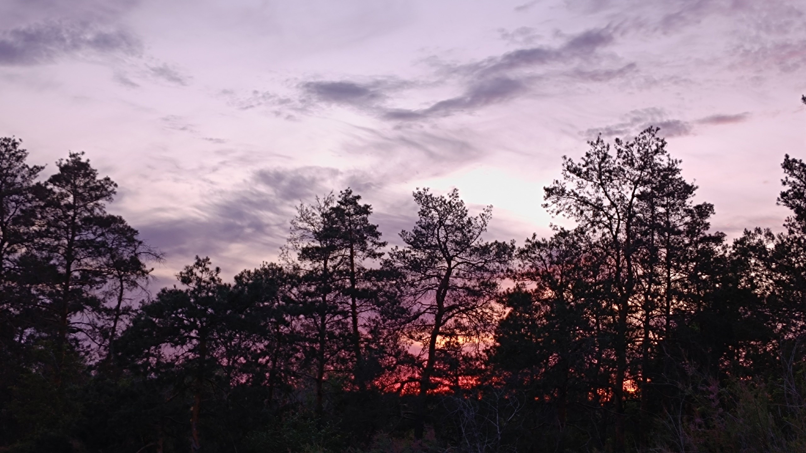 Читальный зал. Марина Рыбкина — Глубинная психология