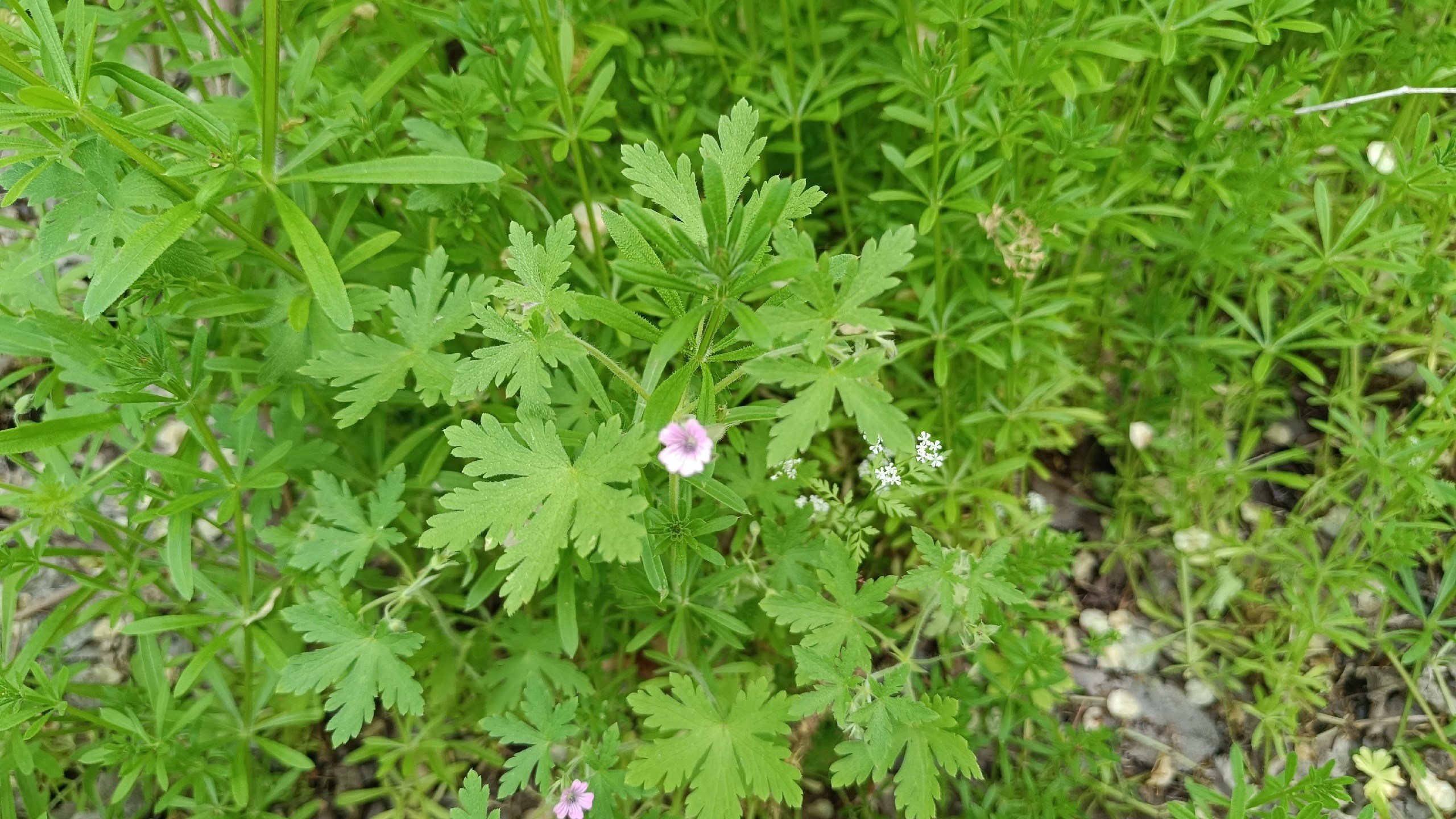 Читальный зал. Марина Рыбкина — Глубинная психология