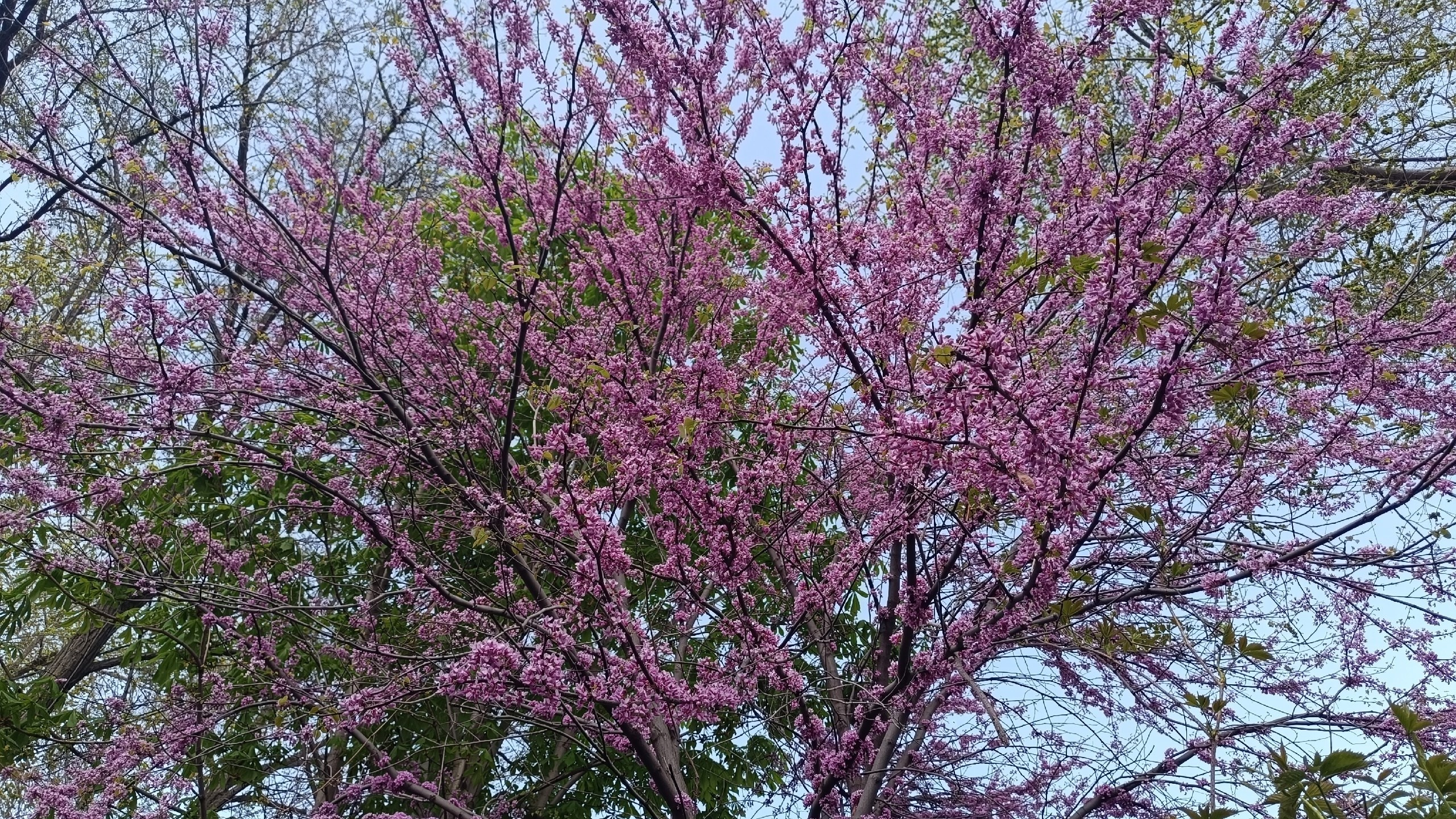 Читальный зал. Марина Рыбкина — Глубинная психология