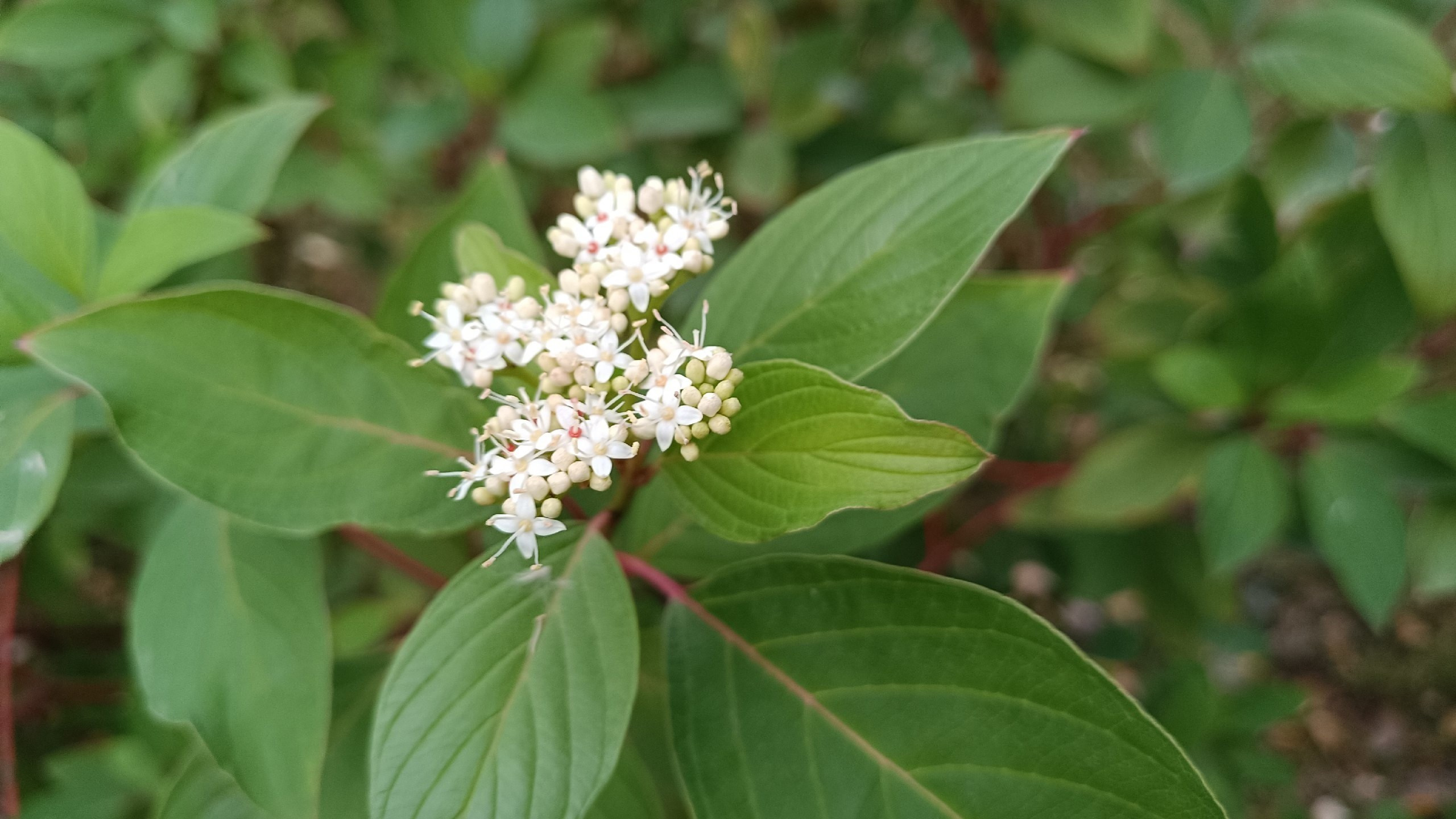 Читальный зал. Марина Рыбкина — Глубинная психология